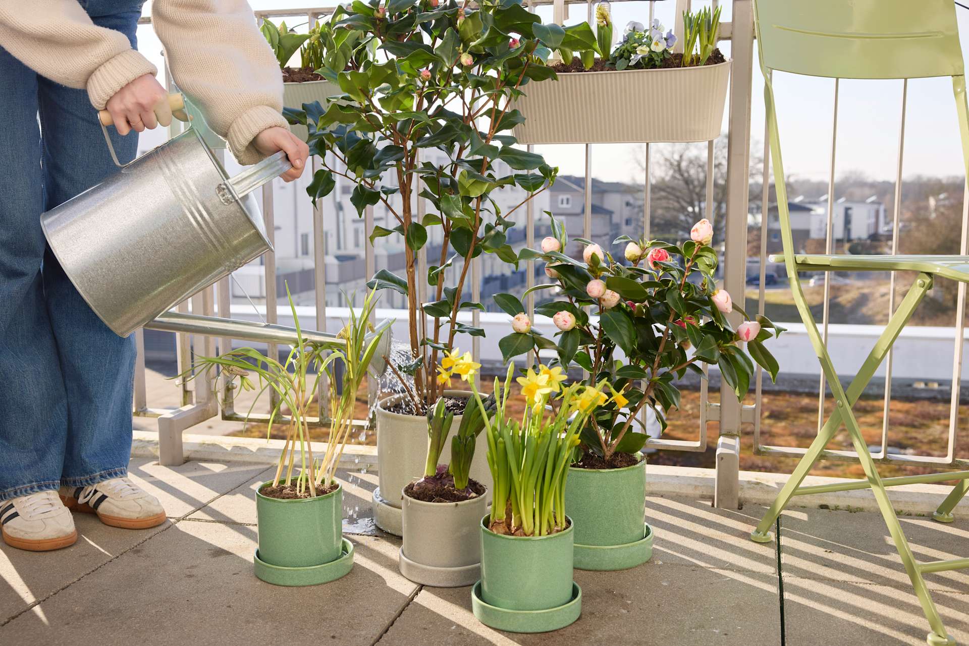 Eine Person gießt verschiedene Topfpflanzen, darunter blühende Pflanzen und Grünpflanzen, in einer gewächshausähnlichen Umgebung mit großen Fenstern, die für natürliches Licht sorgen.