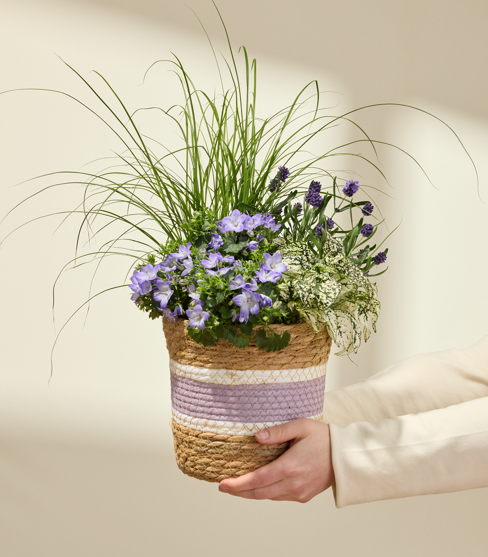 Ein handlicher Pflanzkübel, gefüllt mit einem farbenfrohen Arrangement aus violetten Blüten, grünen Gräsern und anderem Laubwerk, vor einem neutralen Hintergrund.