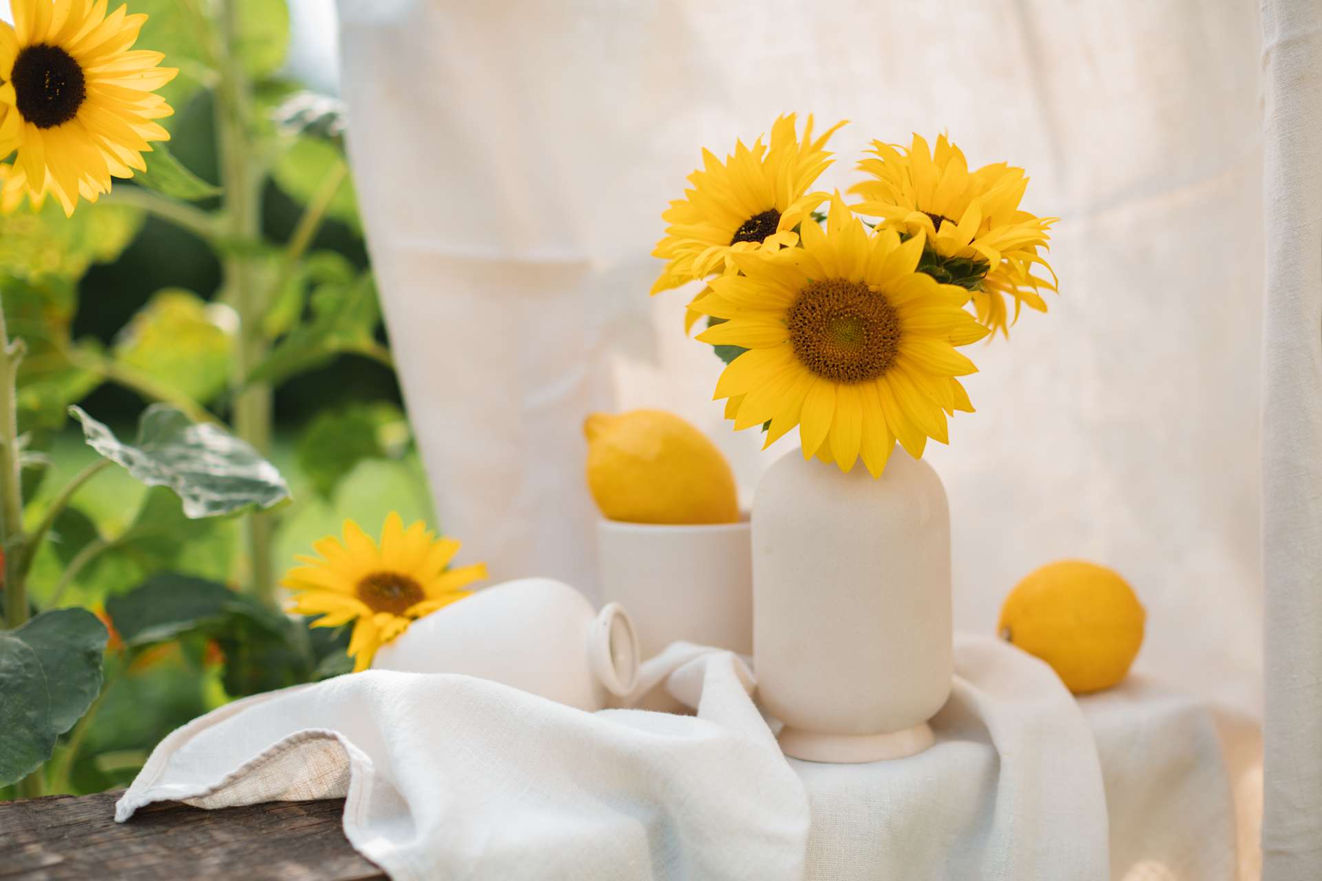 Eine Vase mit Sonnenblumen und Zitronen steht auf einem weißen Tuch vor einem verschwommenen Hintergrund aus Sonnenblumen und Grünpflanzen.