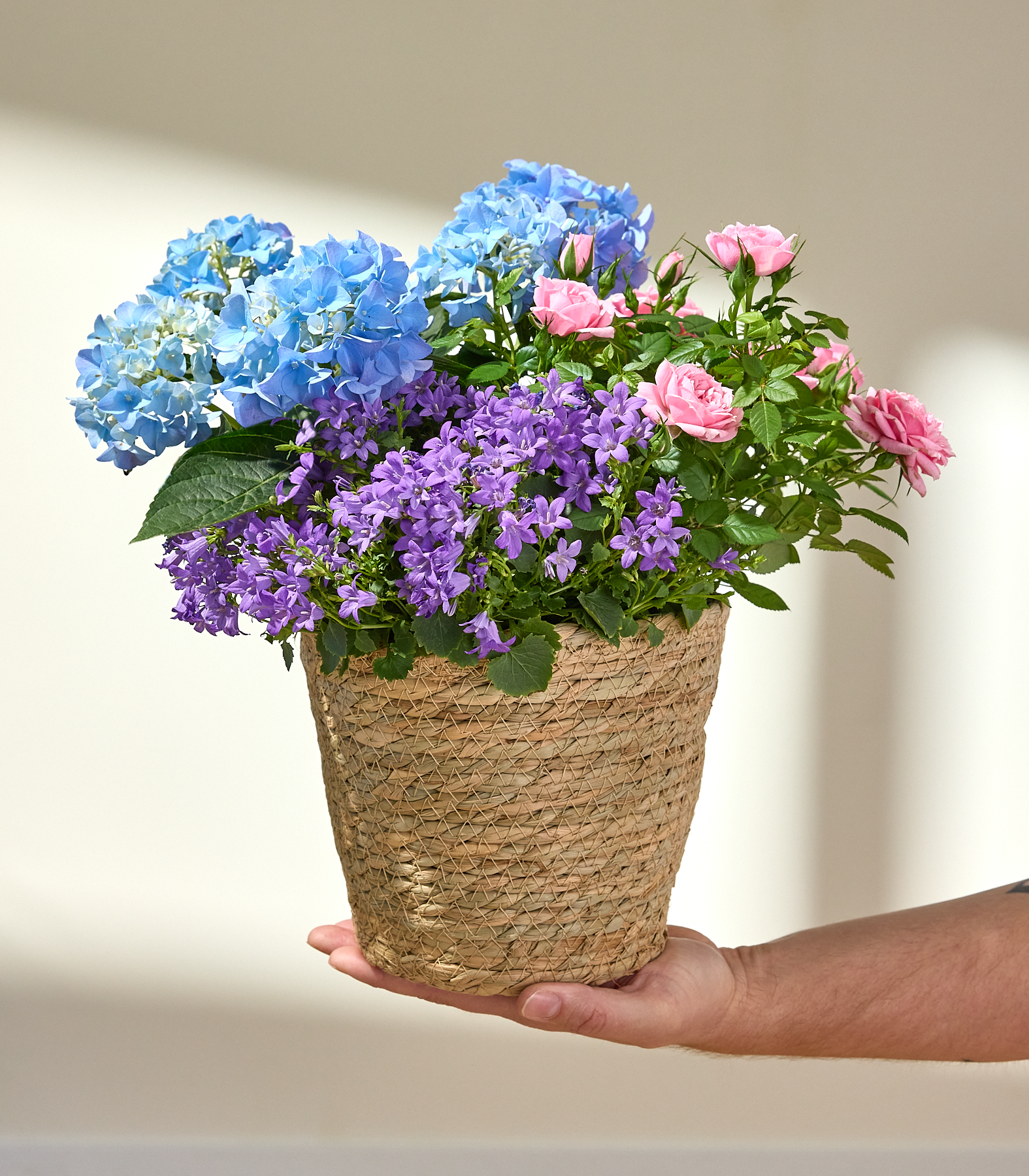 Ein geflochtener Korb, gefüllt mit einem farbenfrohen Arrangement aus lila und rosafarbenen Blumen, darunter Hortensien und Rosen, vor einem schlichten weißen Hintergrund. (Beschreibungstext KI-generiert)