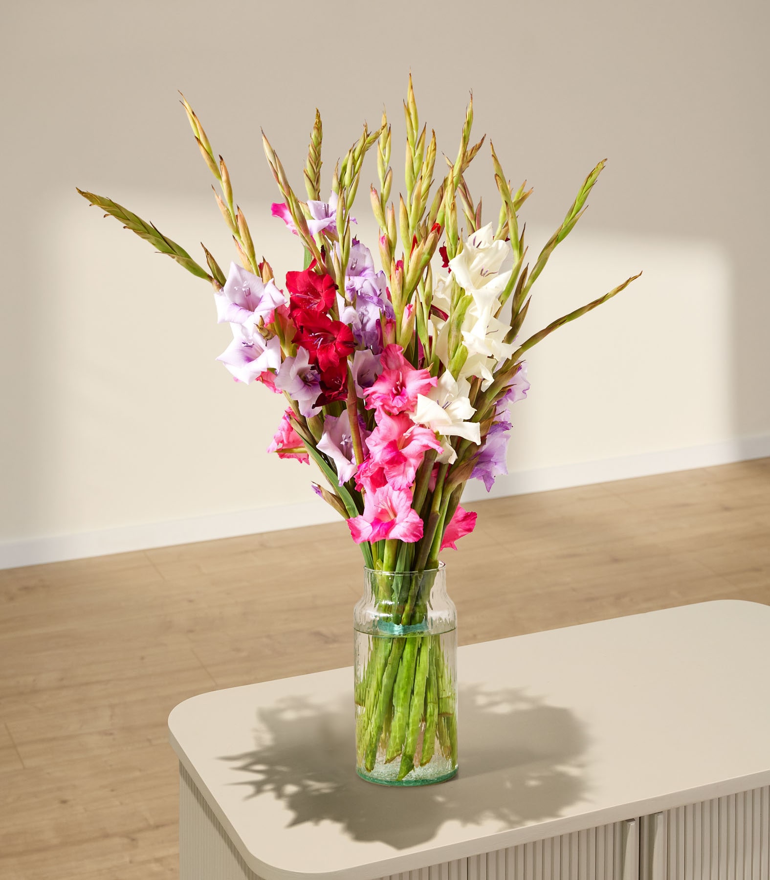 Ein leuchtender Strauß bunter Gladiolenblüten in Gelb-, Rosa- und Lilatönen, die eine Person vor einem schlichten grauen Hintergrund in den Händen hält.