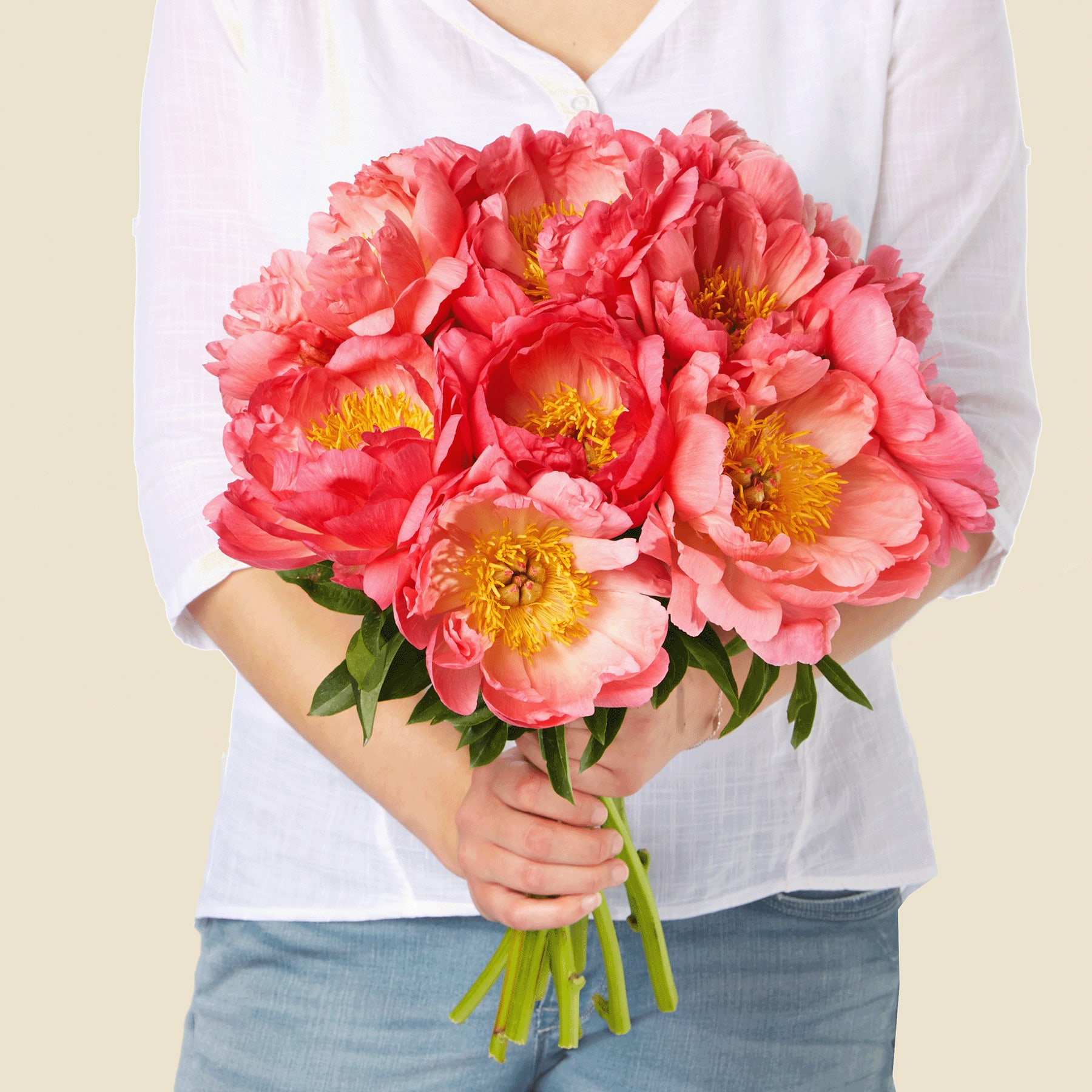 Ein Strauß leuchtend rosa Pfingstrosenblüten wird von einer Person in einem weißen Hemd und blauen Jeans vor einem schlichten, hellen Hintergrund gehalten.