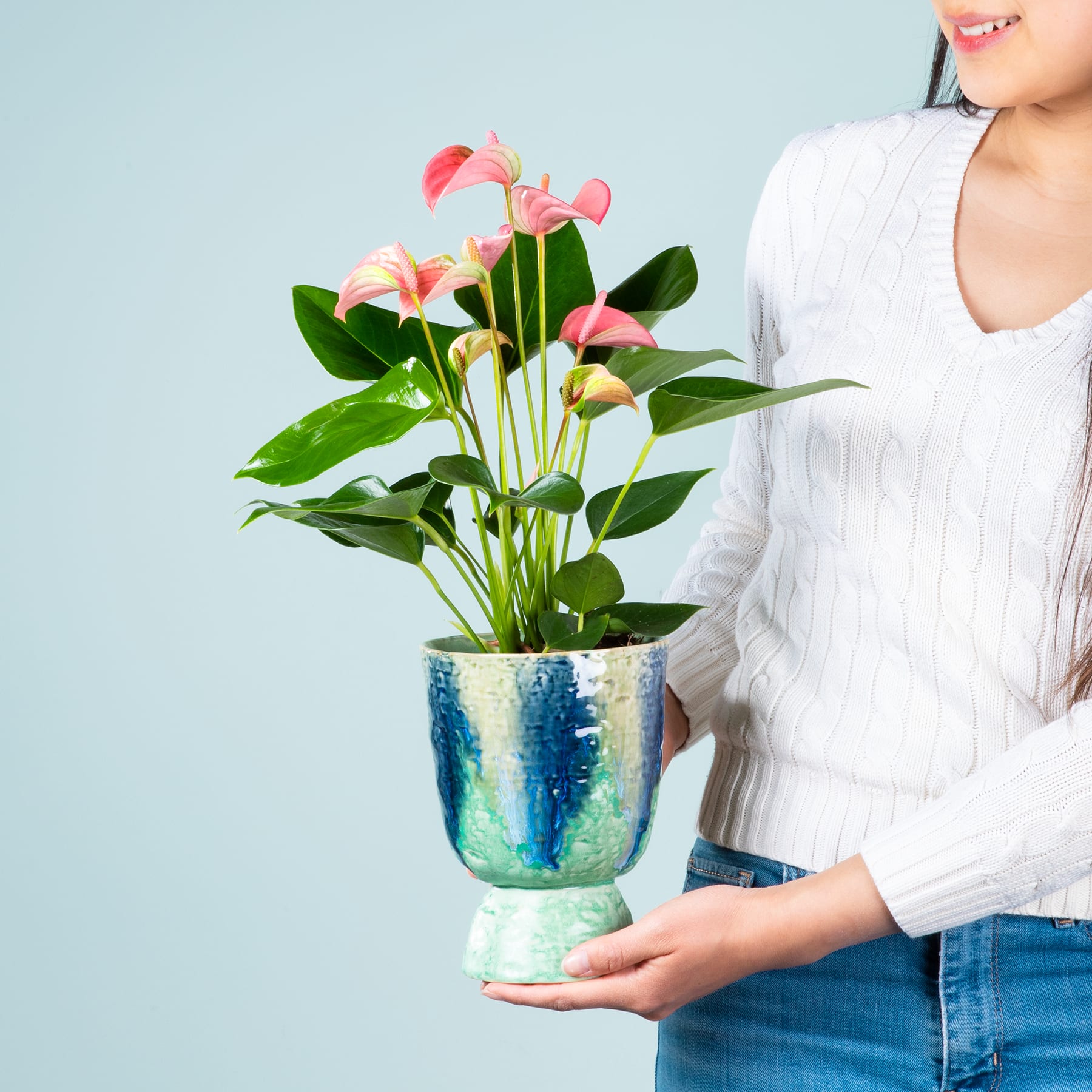 Eine Person in einem weißen Pullover hält eine Topfpflanze mit leuchtend rosa und grünen Blüten vor einem hellblauen Hintergrund.