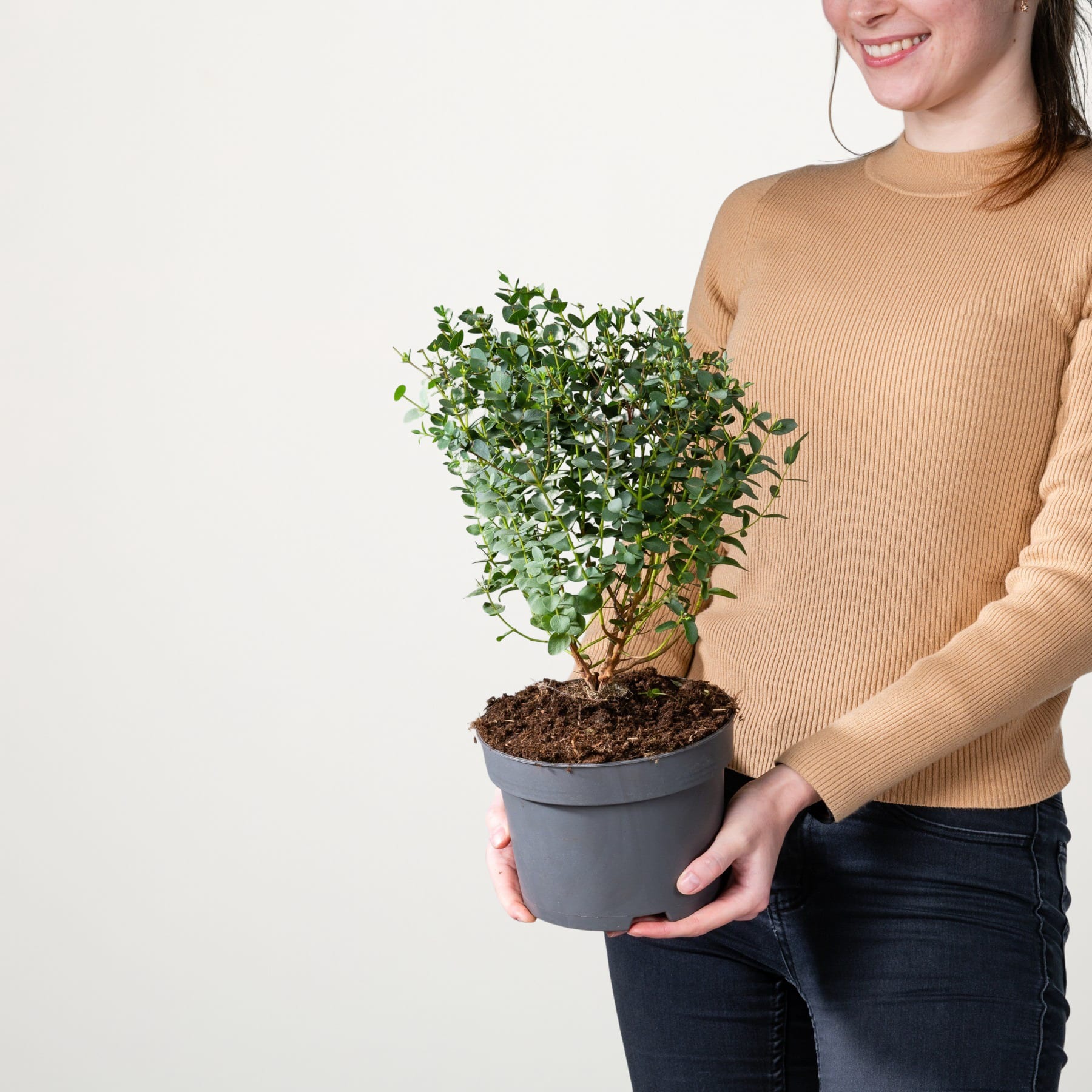 Eine junge Frau in einem beigen Pullover hält eine Topfpflanze mit üppigem grünem Laub vor einem schlichten weißen Hintergrund.