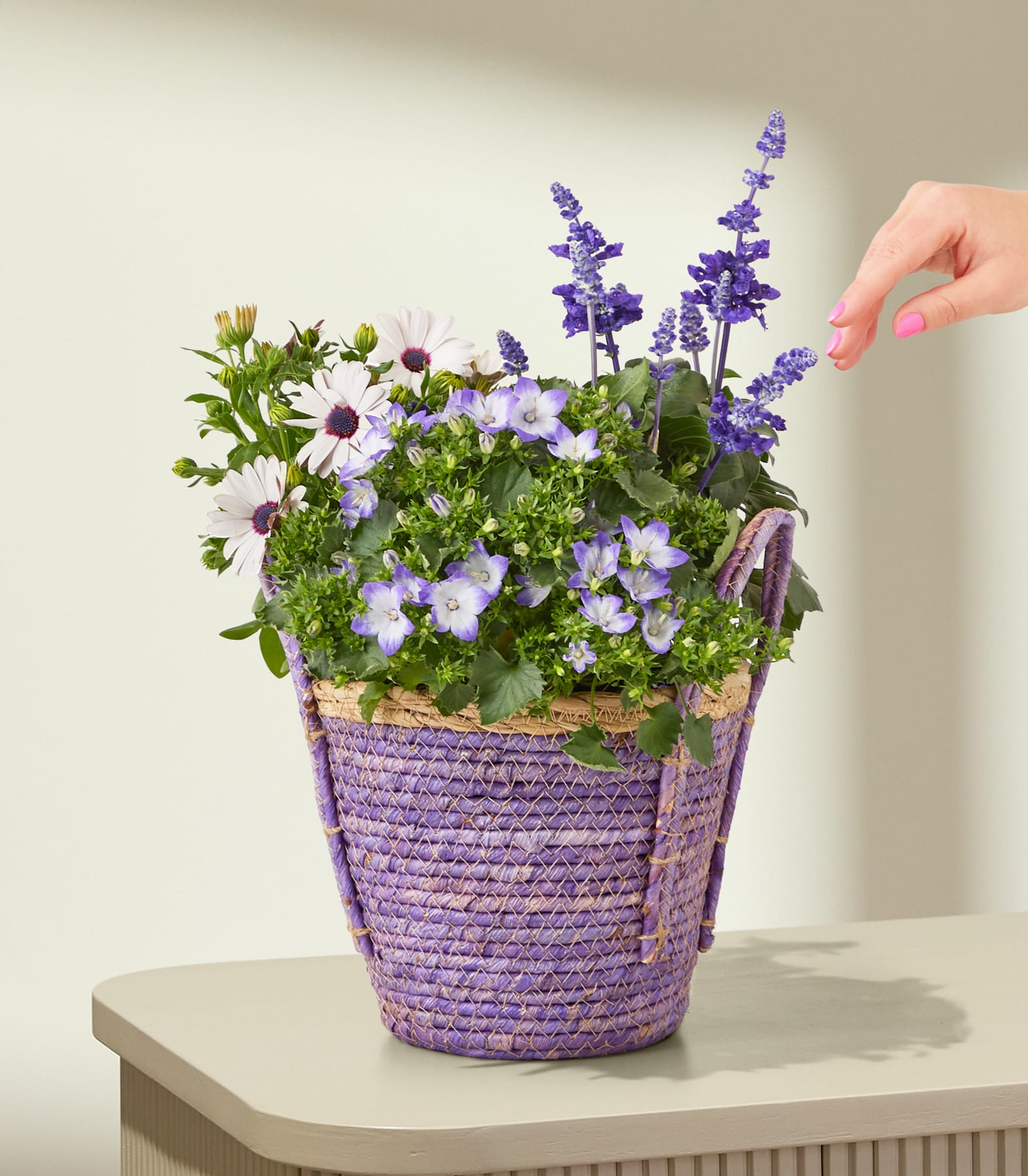 Ein Strauß violetter und weißer Blumen, darunter Lavendel und Gänseblümchen, arrangiert in einem geflochtenen Korb, den eine Hand vor einem schlichten weißen Hintergrund hält.
