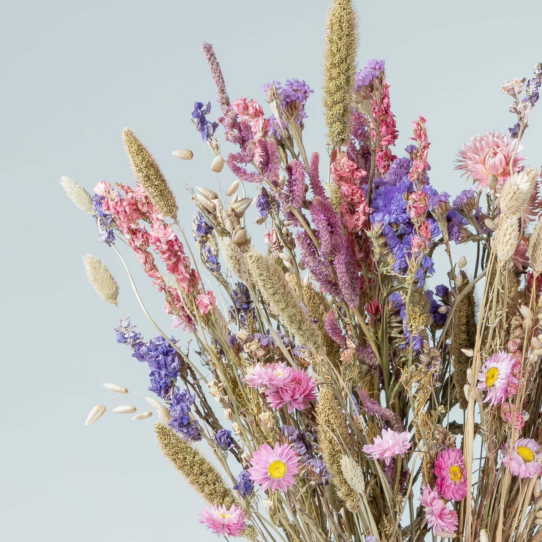 Ein lebendiger Strauß verschiedener bunter getrockneter Blumen und Pflanzen, darunter rosa und violette Blüten, goldene Weizenhalme und dünne Gräser vor einem hellblauen Himmel.