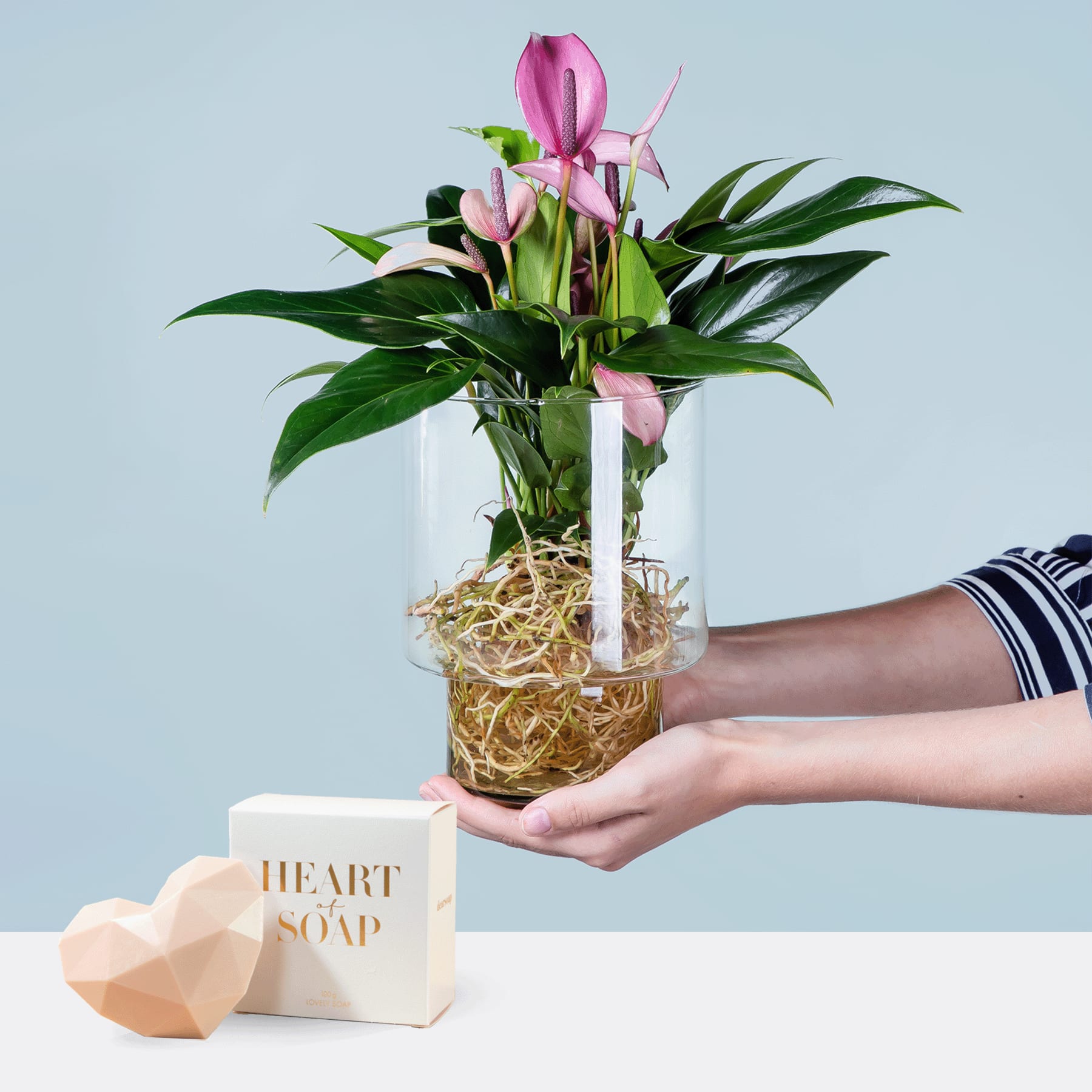 Ein Strauß rosa Anthurienblüten in einer Glasvase, gehalten von einer Person, steht auf einem Tisch vor einem hellblauen Hintergrund. Daneben steht eine herzförmige Seife aus Holz.