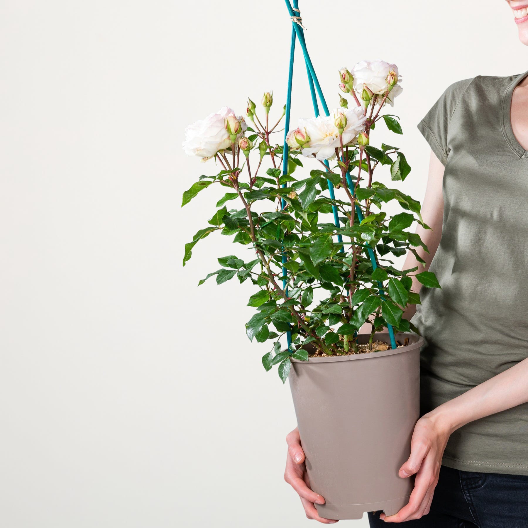 Eine Person hält eine Topfpflanze mit weißen Blüten und grünen Blättern vor einem schlichten weißen Hintergrund.