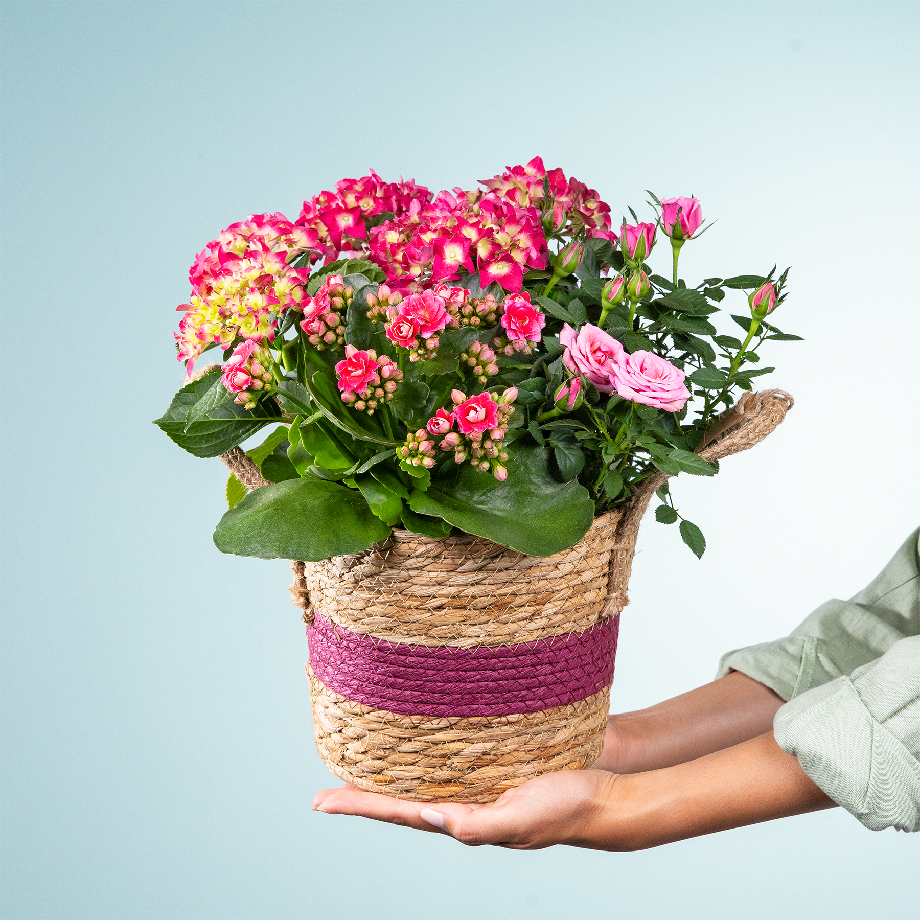 Ein leuchtender Strauß rosa und gelber Blumen in einem geflochtenen Korb, gehalten in den Händen einer Person vor einem hellblauen Hintergrund.