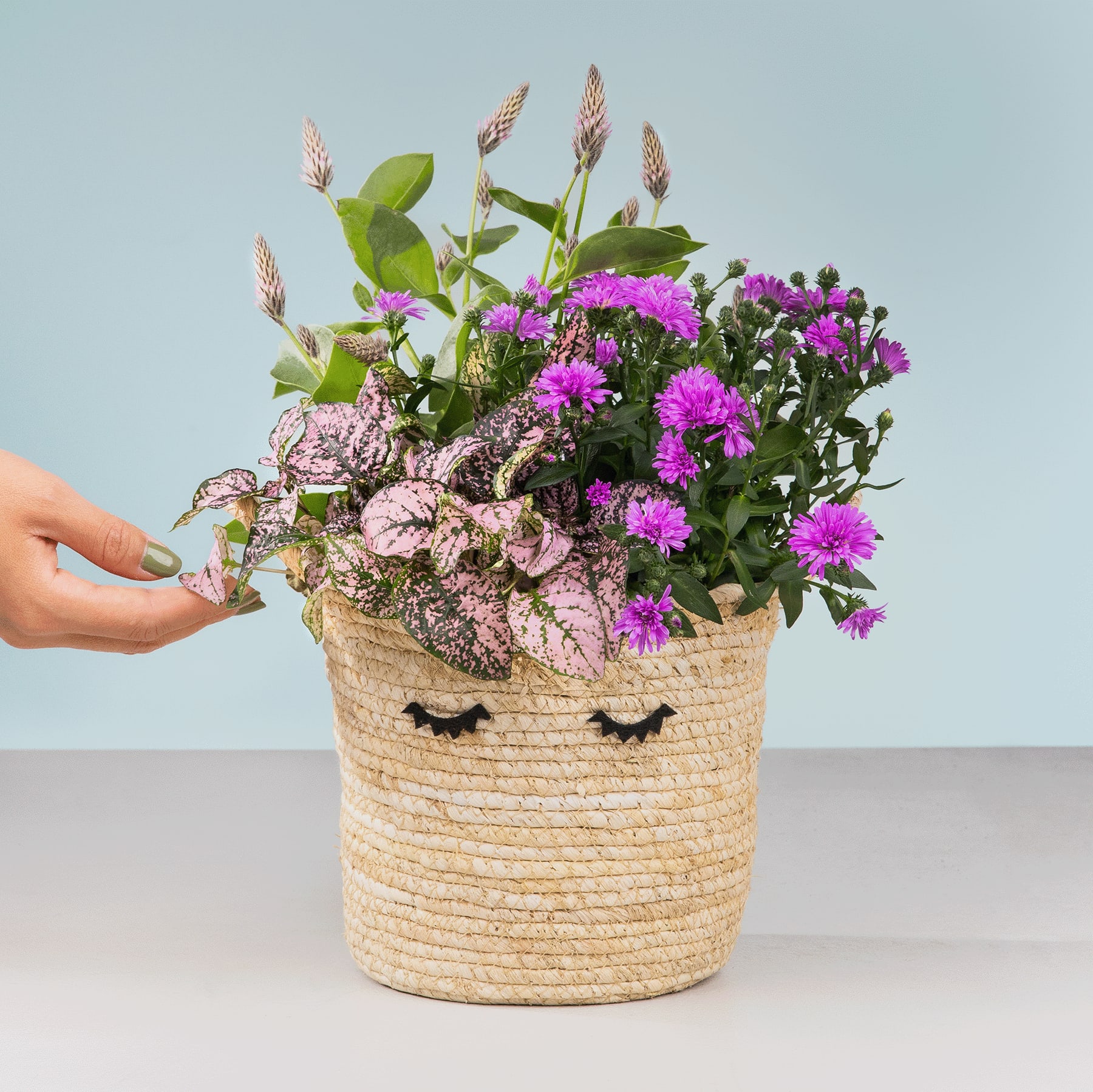 Ein geflochtener Korb voller leuchtend violetter und rosa Blumen steht auf einer hellen Oberfläche mit einem schlichten blaugrauen Hintergrund.