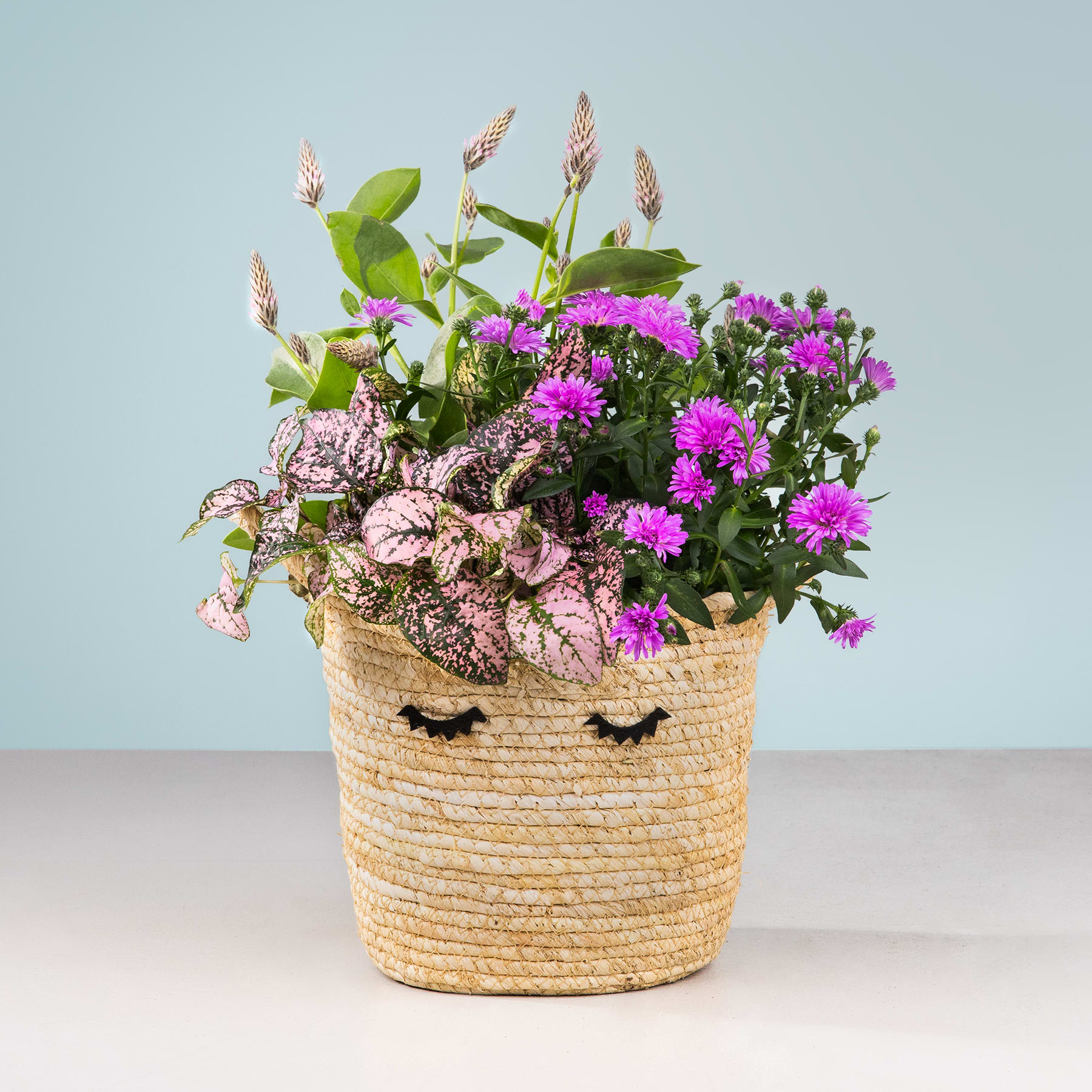 Ein geflochtener Korb voller leuchtend violetter und rosa Blumen steht auf einer hellen Oberfläche vor einem blassblauen Hintergrund.