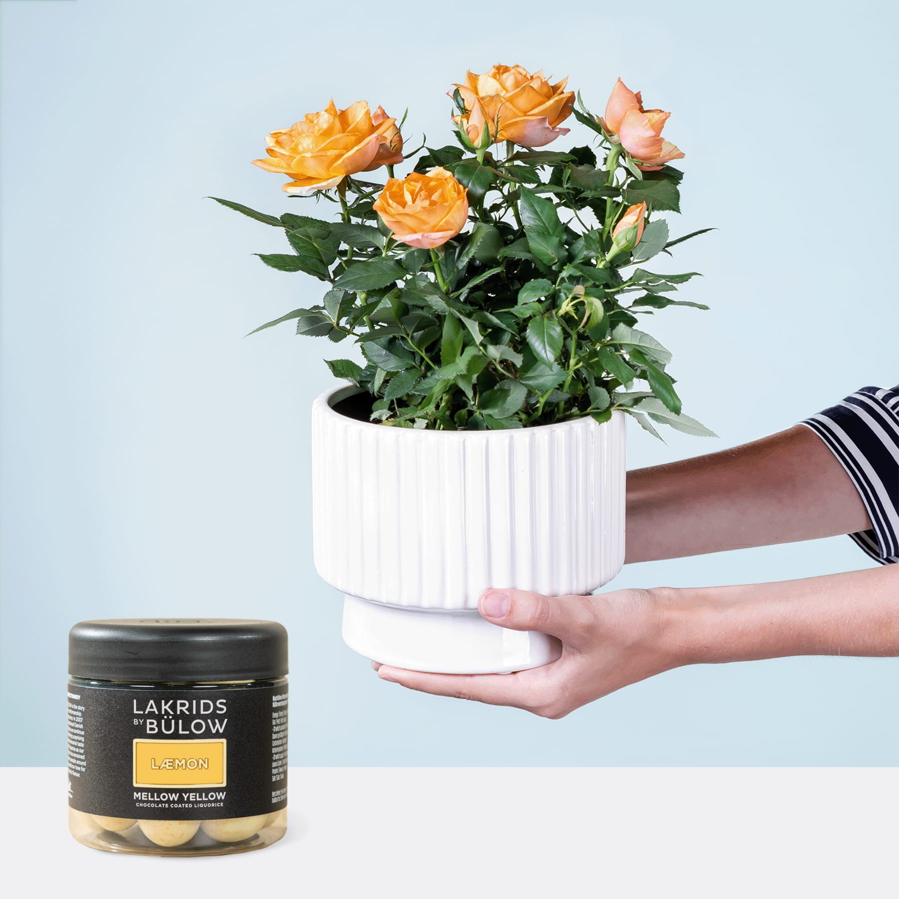 Eine Person hält vor einem schlichten Hintergrund einen weißen Keramiktopf mit leuchtend orangefarbenen Rosen in den Händen. Im Vordergrund ist ein Glas mit eingelegtem Gemüse zu sehen.