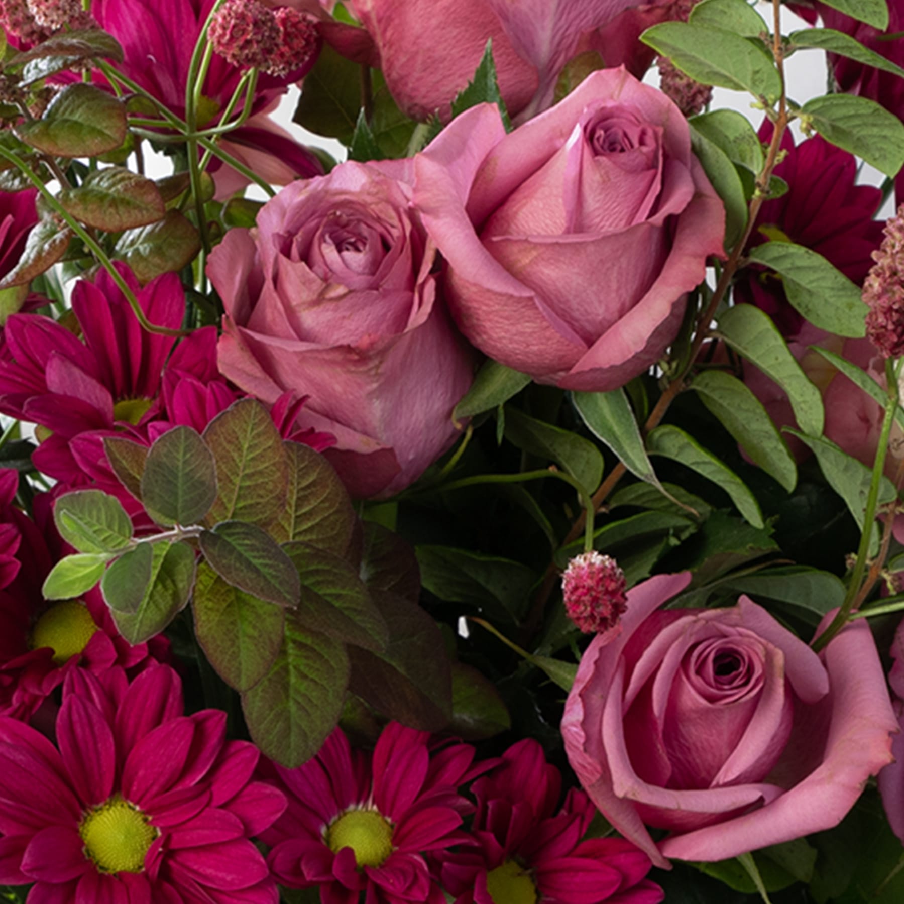 Ein leuchtender Strauß aus rosa Rosen, roten Dahlien und üppigem grünem Laub füllt den Rahmen und schafft ein bezauberndes und optisch beeindruckendes Blumenarrangement.