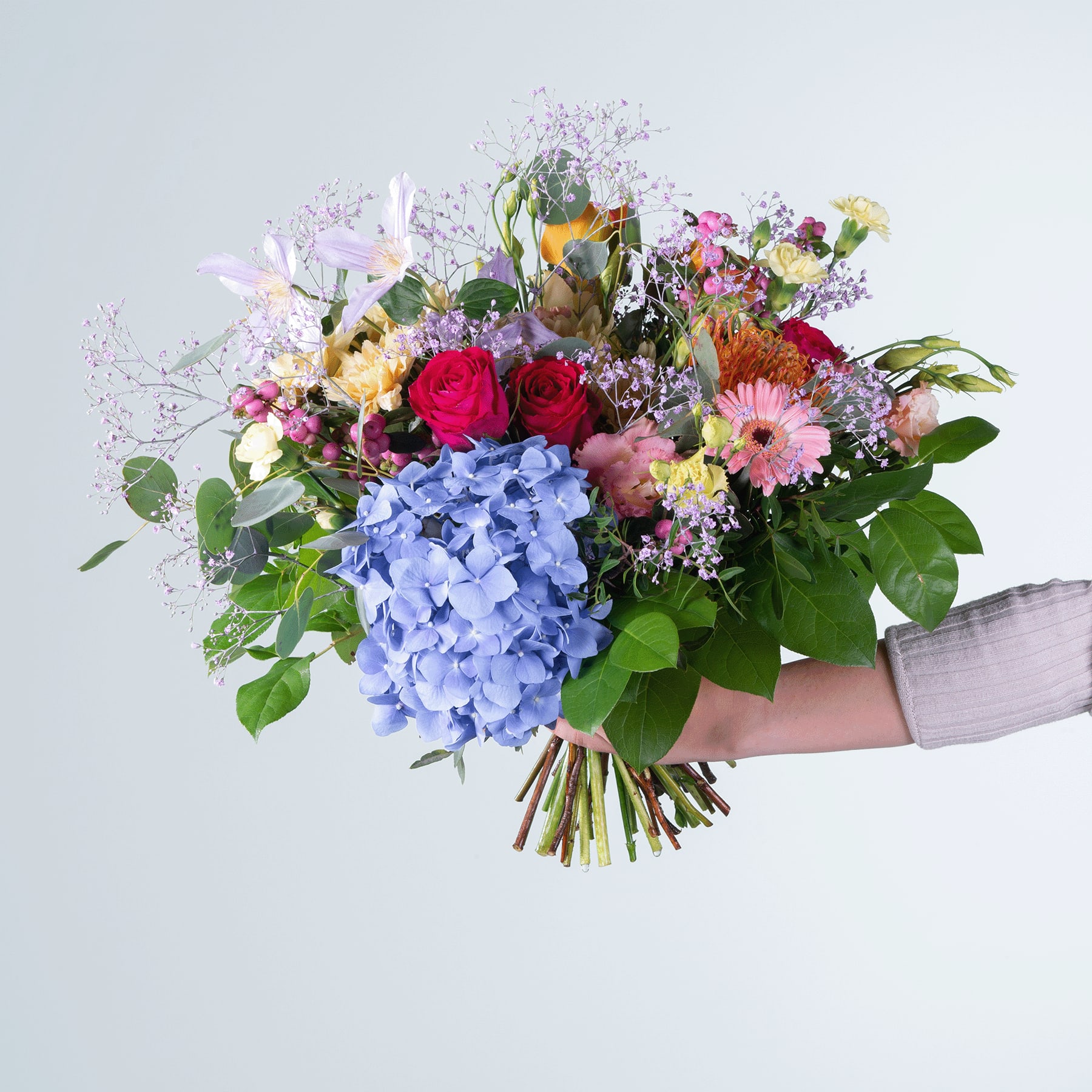 Ein leuchtender Strauß bunter Blumen, darunter rote Rosen, rosa Gerbera und blaue Hortensien, wird vor einem schlichten weißen Hintergrund in den Händen einer Person gehalten.