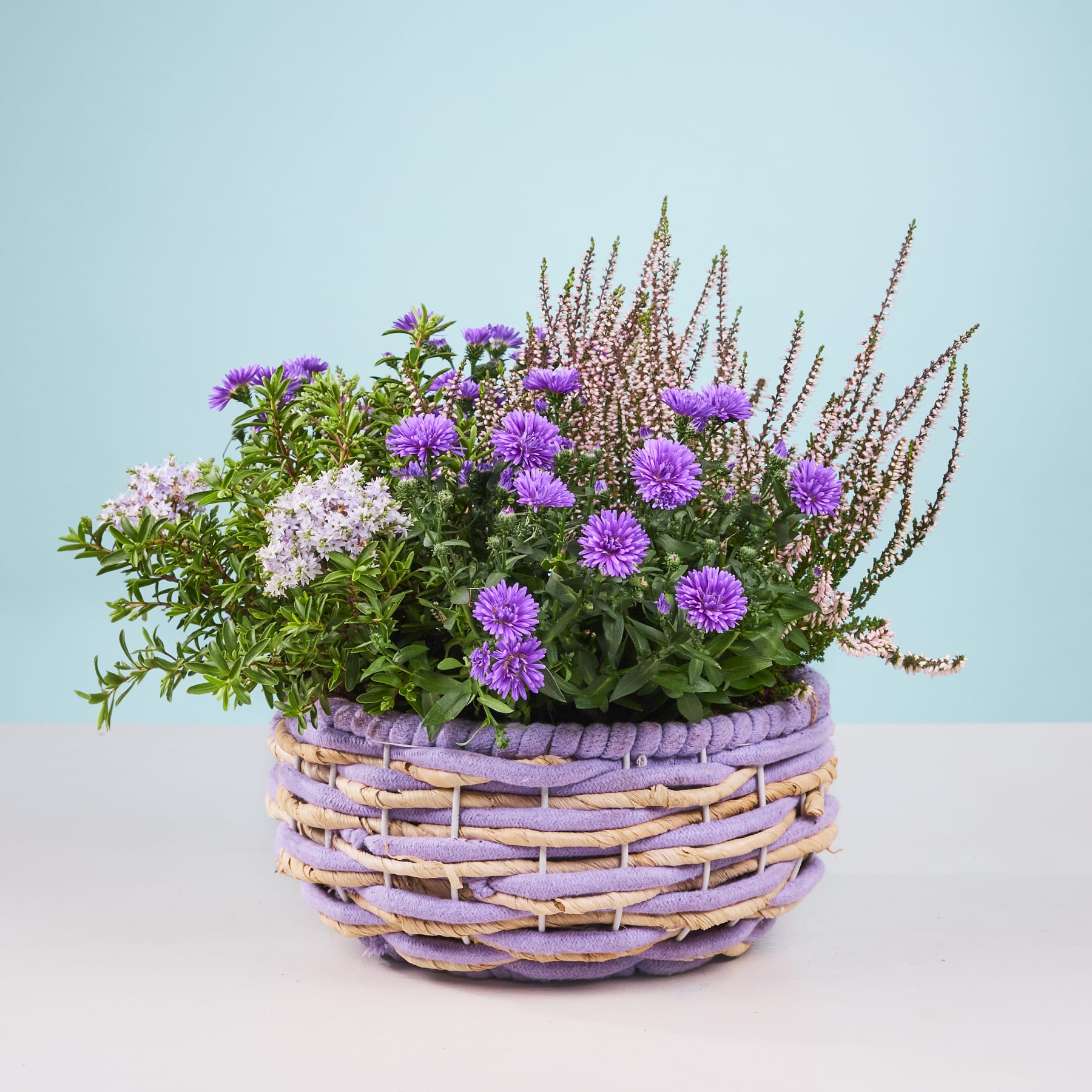 Ein farbenfrohes Arrangement aus violetten und rosa Blumen in einem geflochtenen Korb steht vor einem hellblauen Hintergrund.