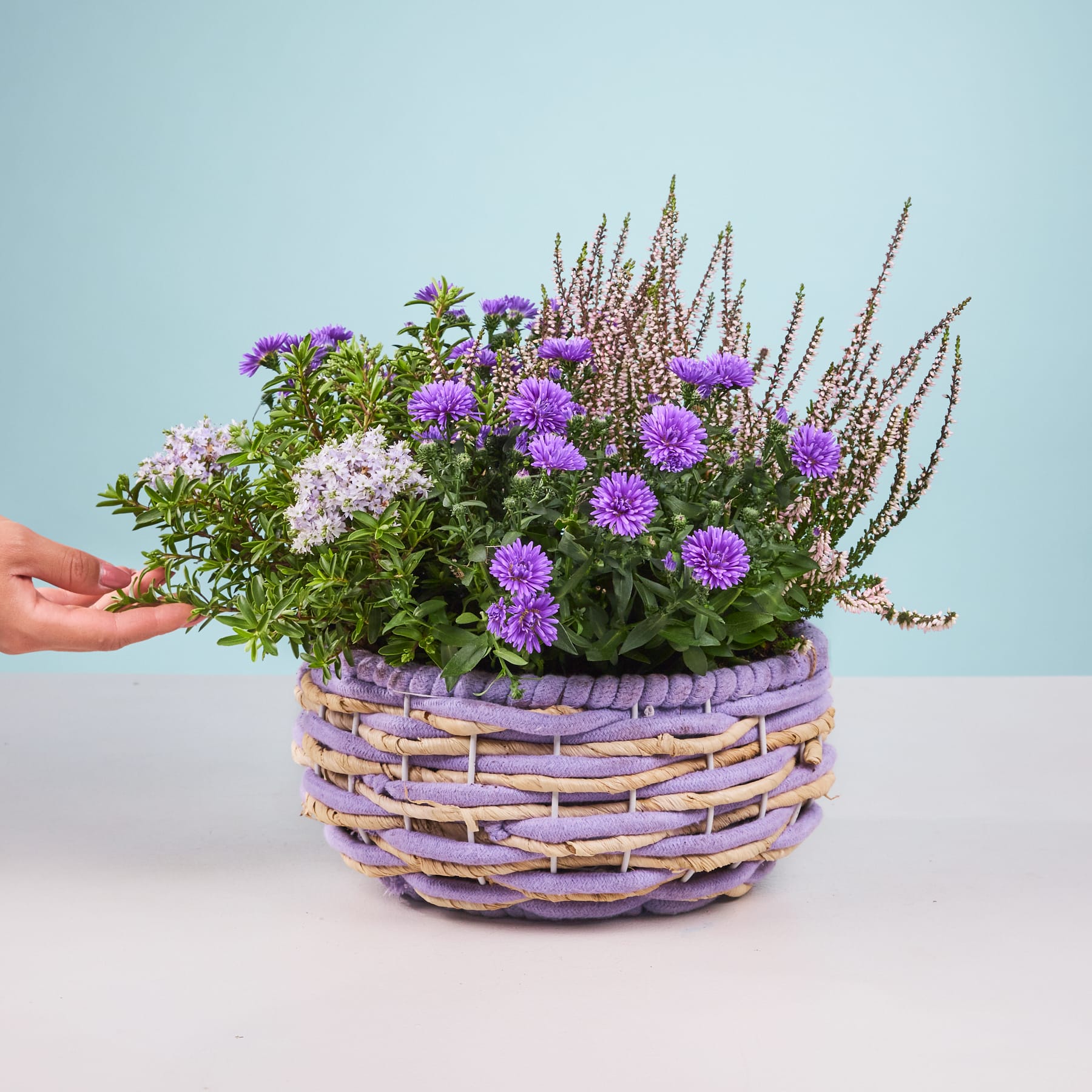 Ein farbenfroher Strauß violetter und weißer Blumen in einem geflochtenen Korb steht auf einer weißen Fläche vor einem hellblauen Hintergrund.