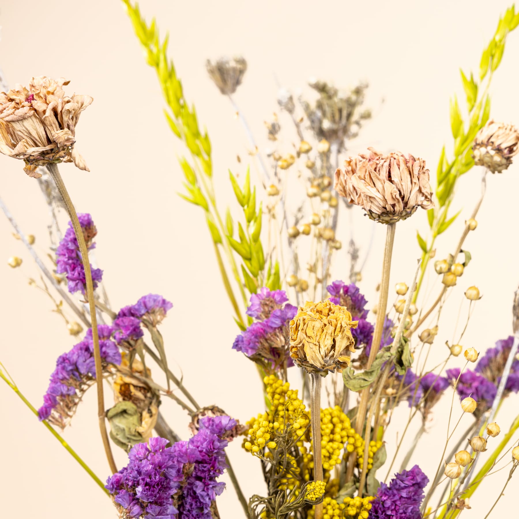 Ein lebendiger Strauß getrockneter Blumen in Lila-, Gelb- und Brauntönen vor einem neutralen Hintergrund.