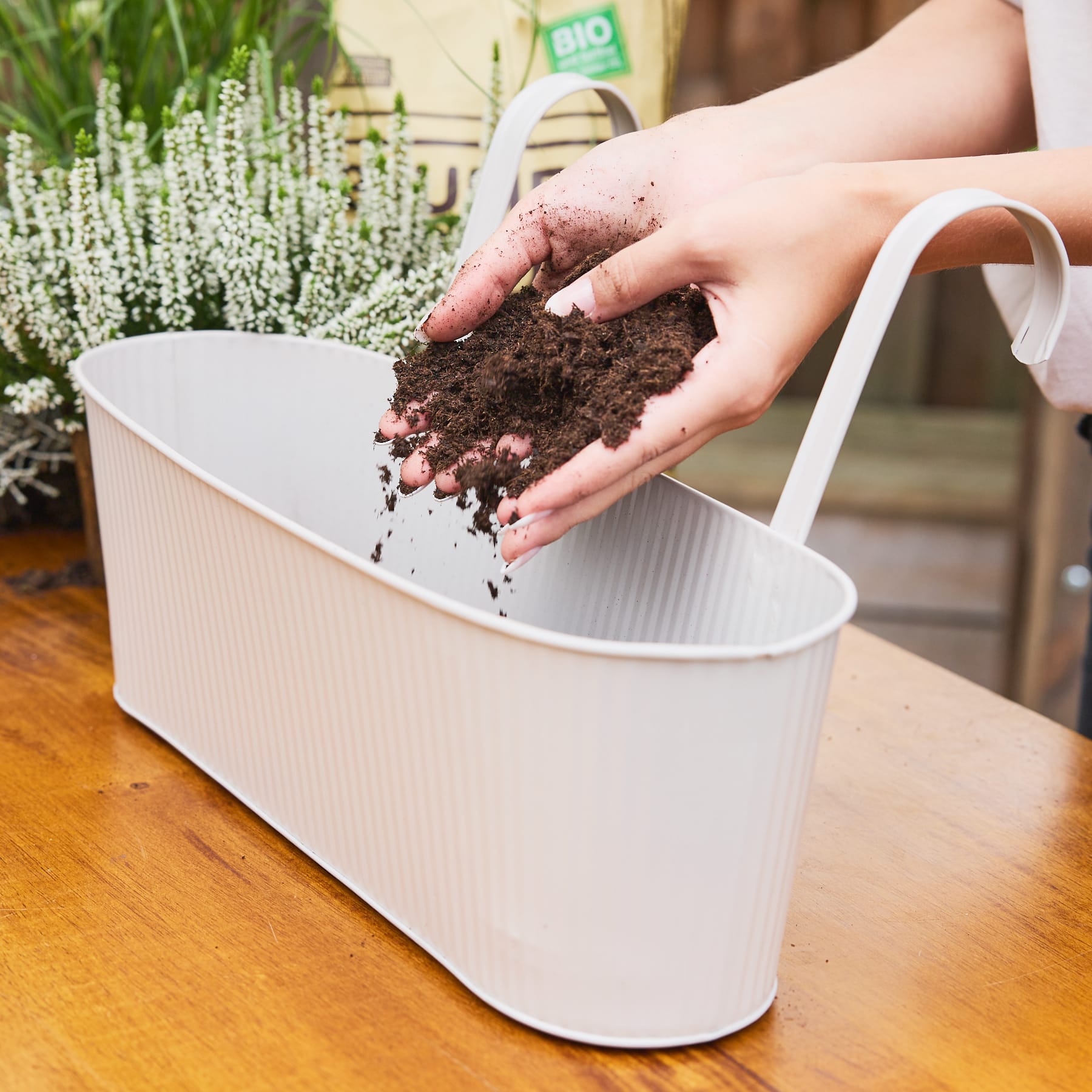 Das Bild zeigt die Hände einer Person, die etwas Erde oder Blumenerde über einem weißen Blumentopf oder Behälter hält, mit einem Hintergrund aus grünen Pflanzen und einem sichtbaren „Bio“-Etikett.