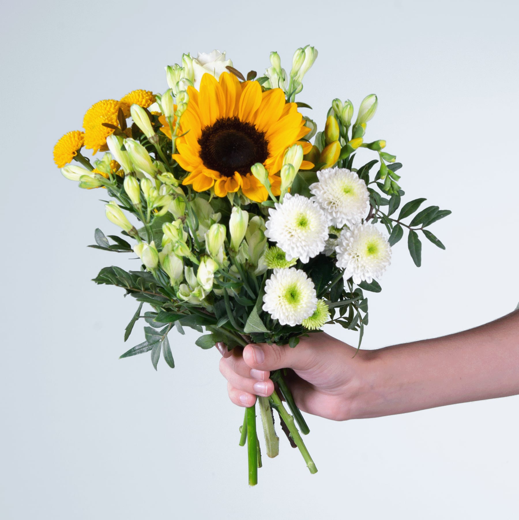 Ein farbenfroher Strauß aus Sonnenblumen, Gänseblümchen und anderen gelben und weißen Blumen, den eine Person vor einem schlichten weißen Hintergrund in den Händen hält.