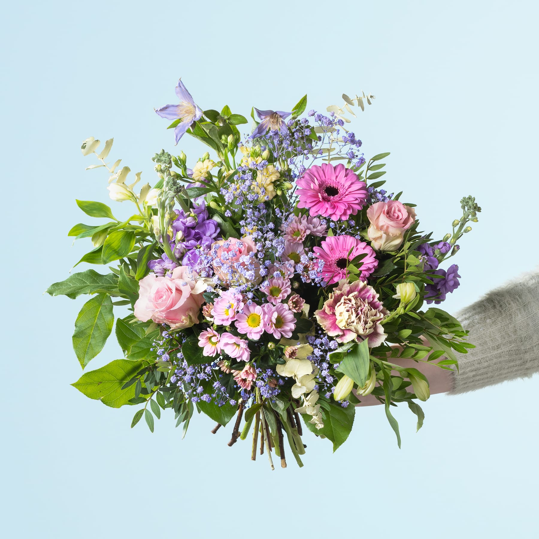 Ein lebendiger Strauß verschiedener bunter Blumen, darunter rosa Gerbera, violette und weiße Blumen und üppiges Grün, wird vor einem schlichten blauen Hintergrund in den Händen einer Person gehalten.