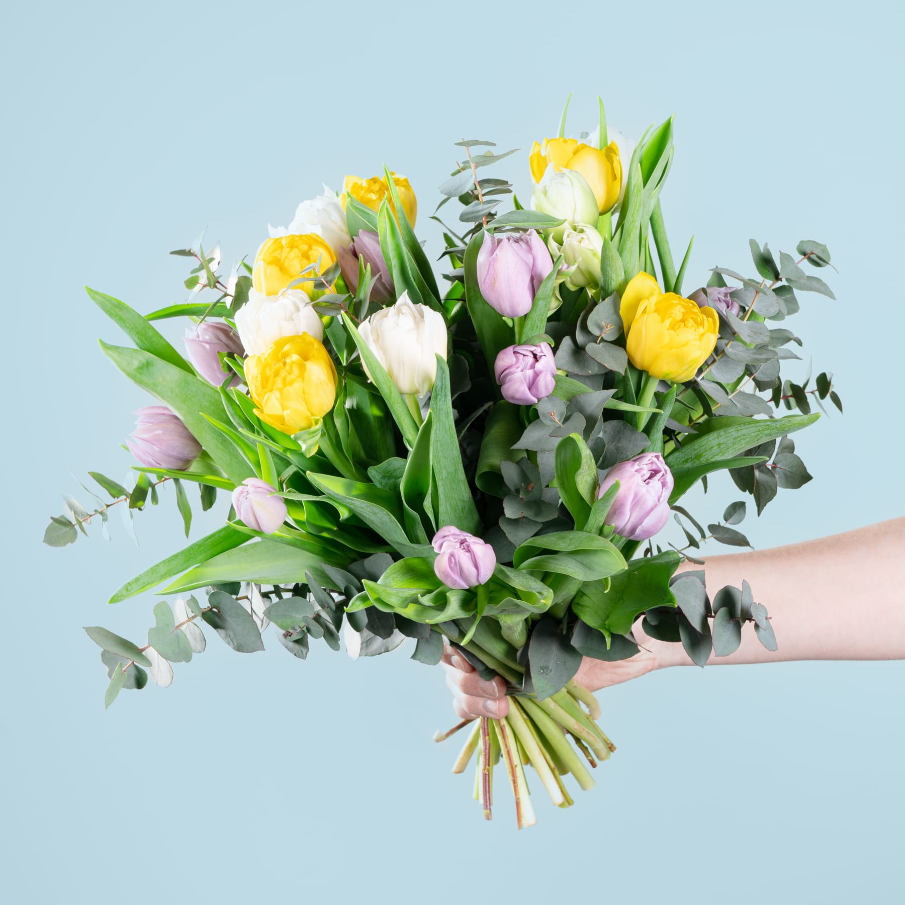 Ein leuchtender Strauß gelber und rosa Tulpen, umgeben von üppigem Grün, wird vor einem schlichten blauen Hintergrund in den Händen einer Person gehalten.