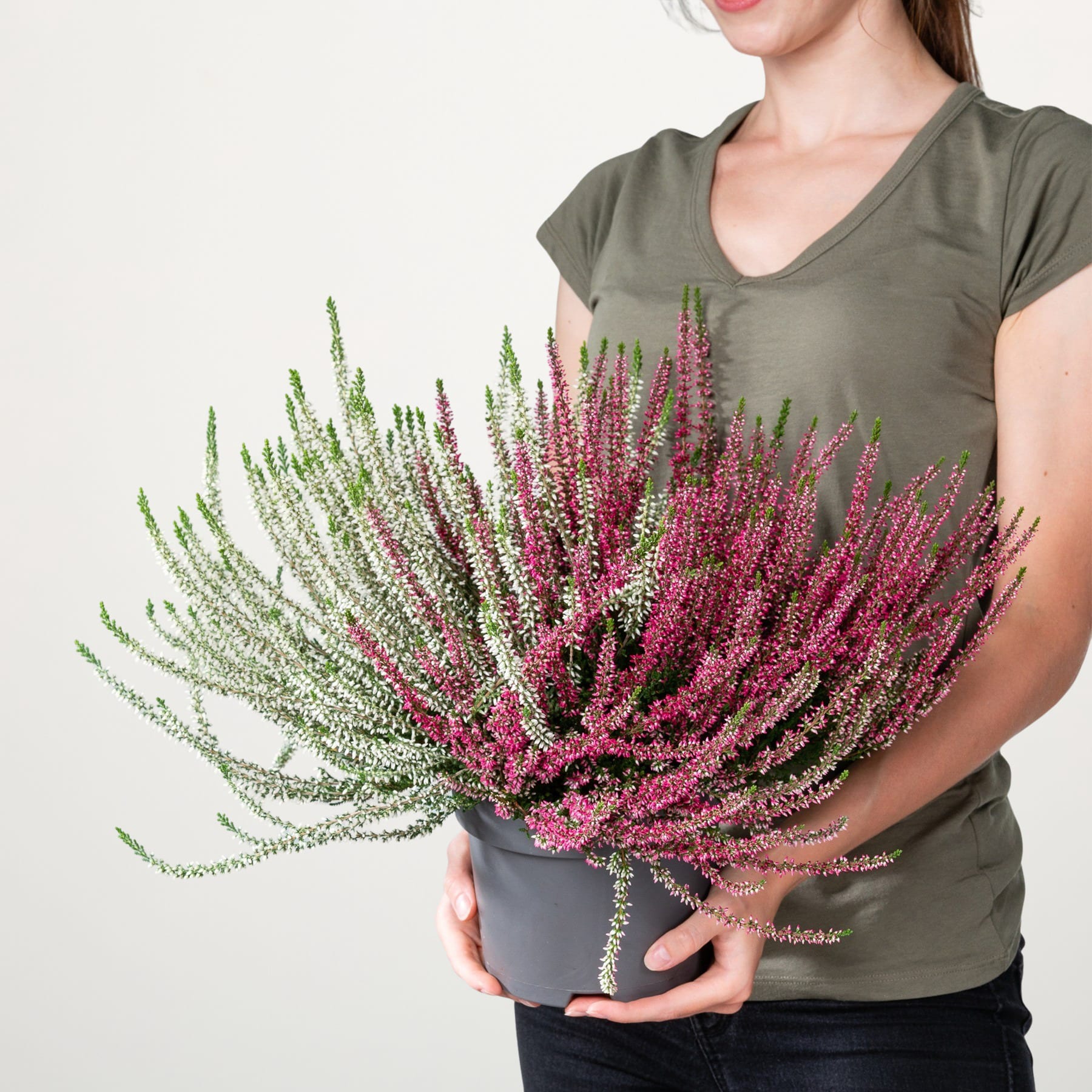 Eine Person in einem grünen Hemd hält einen großen Strauß leuchtend rosa und grün blühender Pflanzen vor einem schlichten weißen Hintergrund.