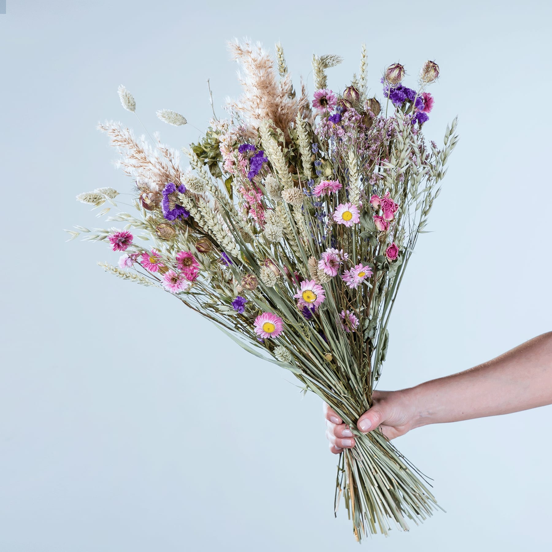 Ein leuchtender Strauß farbenfroher Wildblumen, darunter violette, rosa und weiße Blüten, wird vor einem schlichten blauen Hintergrund in den Händen einer Person gehalten.