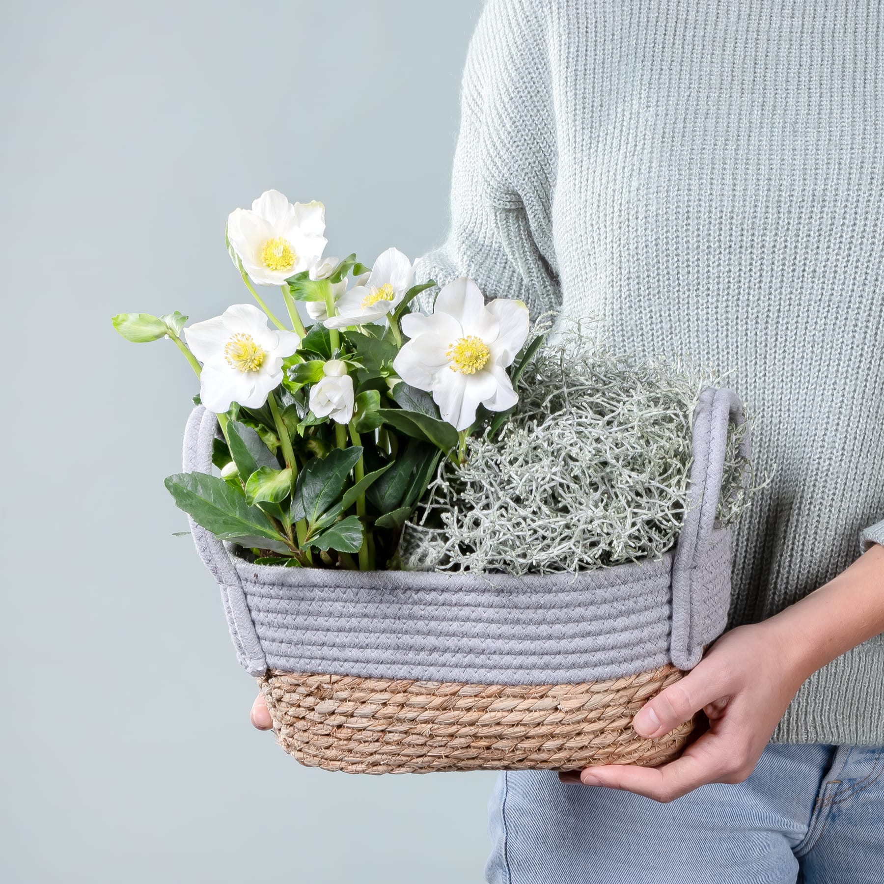 Die Hände einer Person halten vor einem schlichten grauen Hintergrund einen geflochtenen Korb voller weißer, gänseblümchenartiger Blumen.