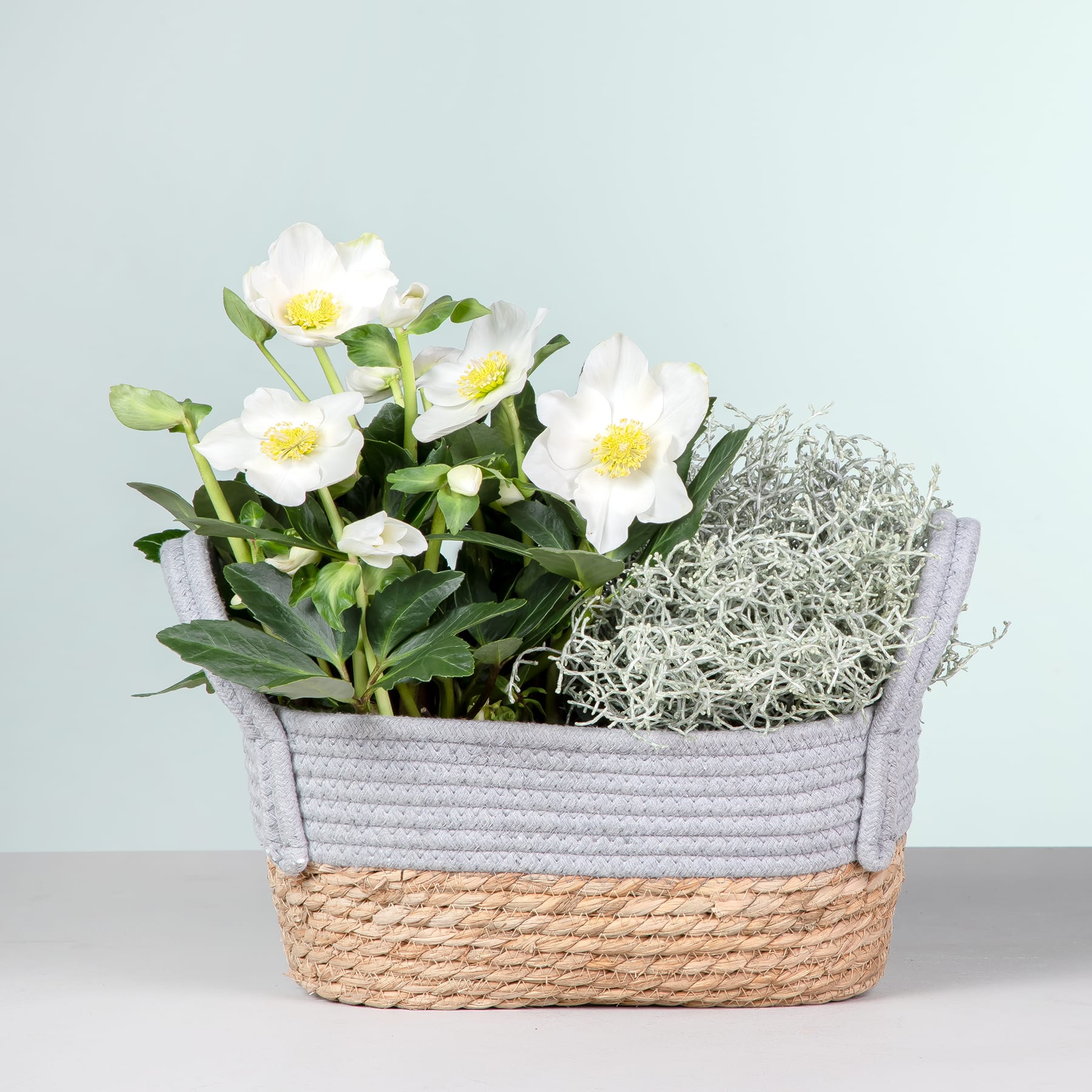 Ein rechteckiger geflochtener Korb mit weißen Blumen mit gelber Mitte, umgeben von grünem Laub, steht auf einer hellen Oberfläche vor einem schlichten Hintergrund.