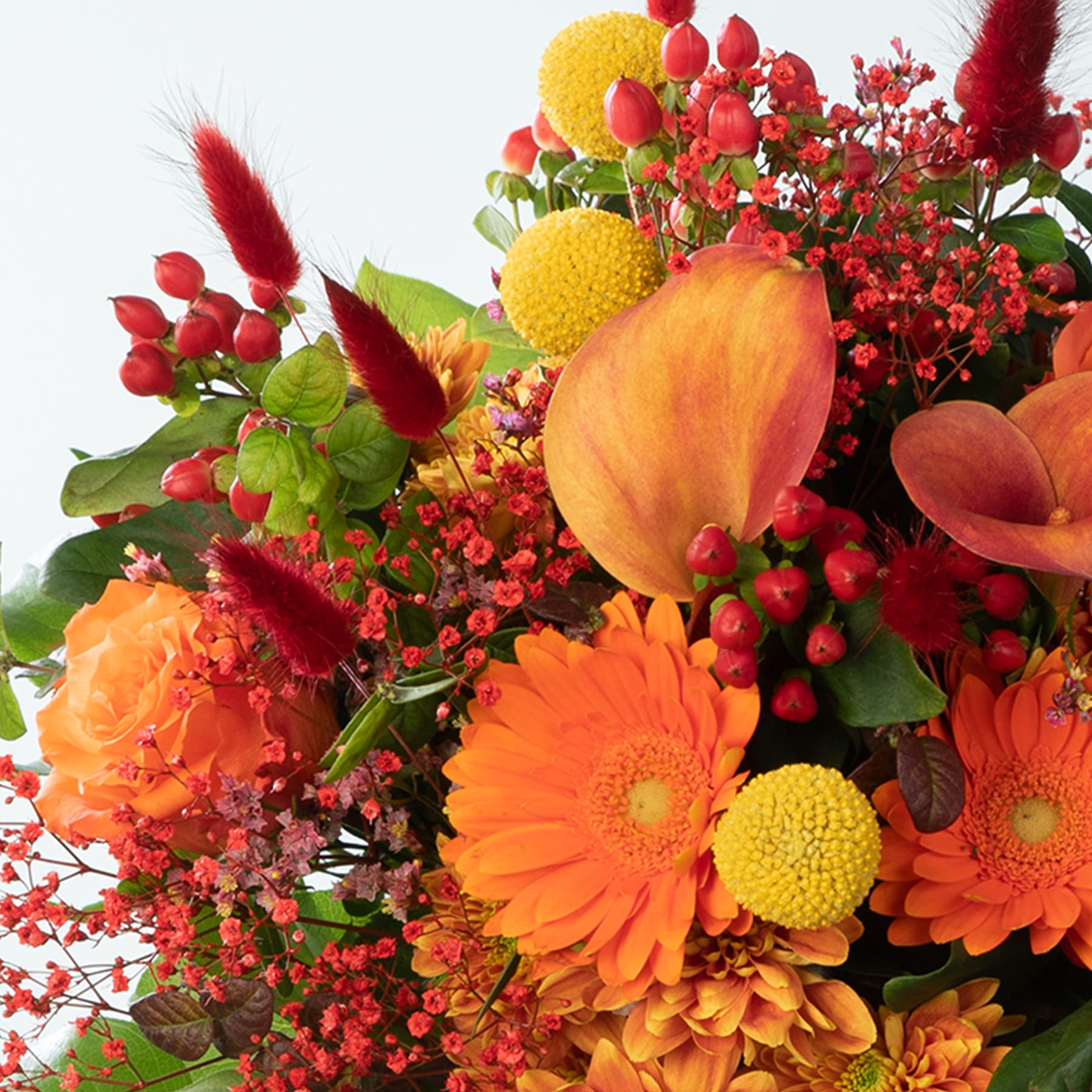 Ein lebendiger Strauß orangefarbener, roter und gelber Blumen, darunter Gerbera, Chrysanthemen und andere saisonale Blüten, vor einem schlichten weißen Hintergrund.