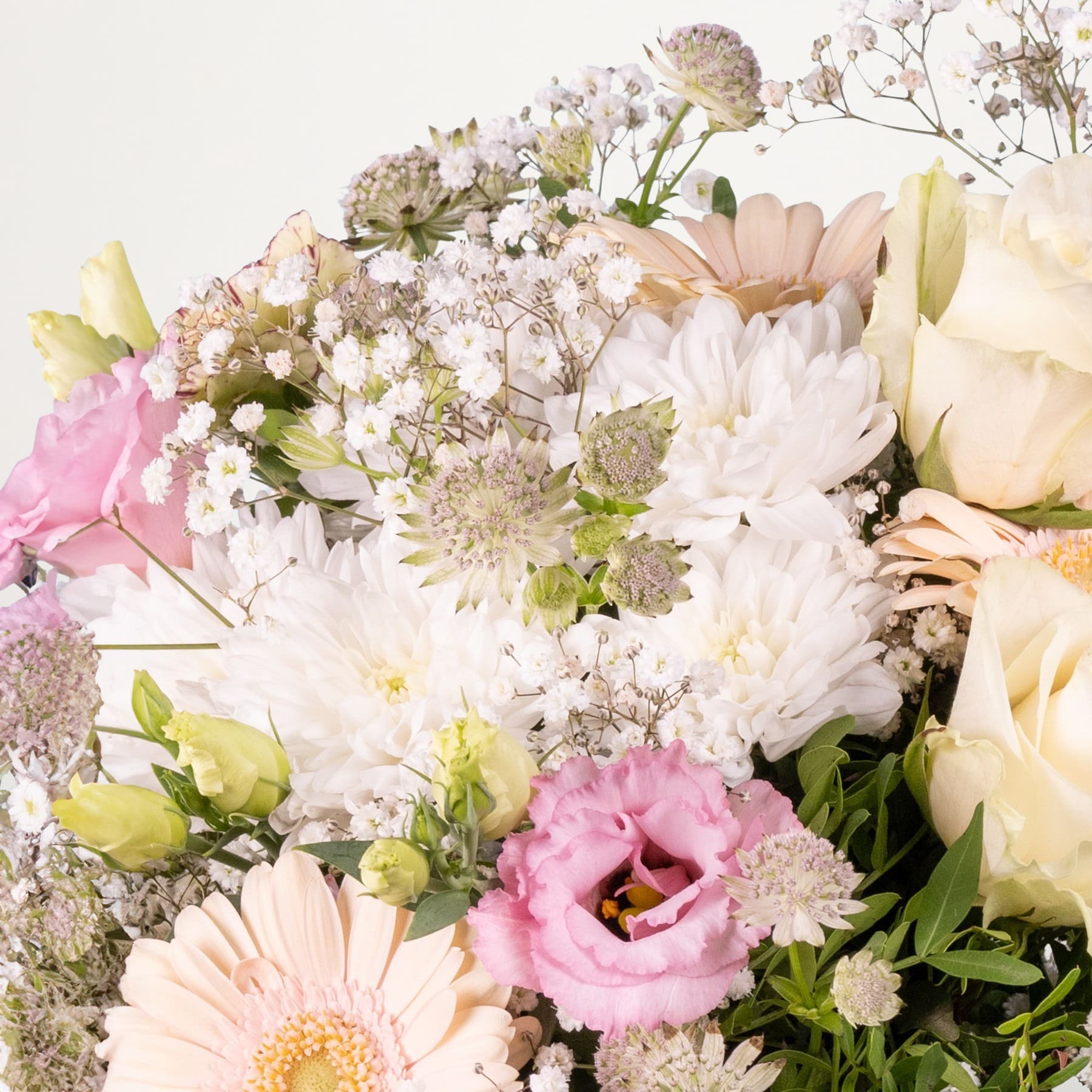 Ein lebendiger Strauß verschiedener Blumen, darunter weiße Chrysanthemen, rosa Rosen und zartes Schleierkraut, optisch ansprechend vor einem hellen Hintergrund arrangiert.