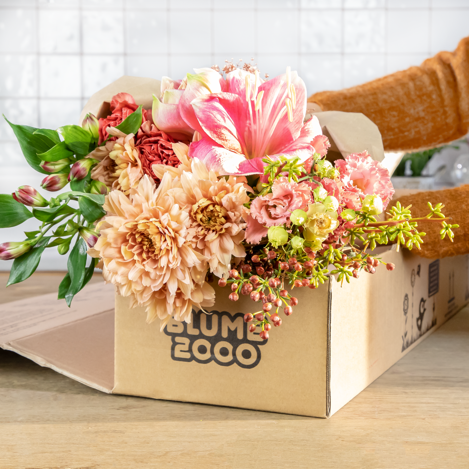 Ein leuchtender Strauß bunter Blumen, darunter rosa und gelbe Blüten, wird in einem Karton mit der Aufschrift „Plume Ecco“ vor einem schlichten Hintergrund präsentiert.