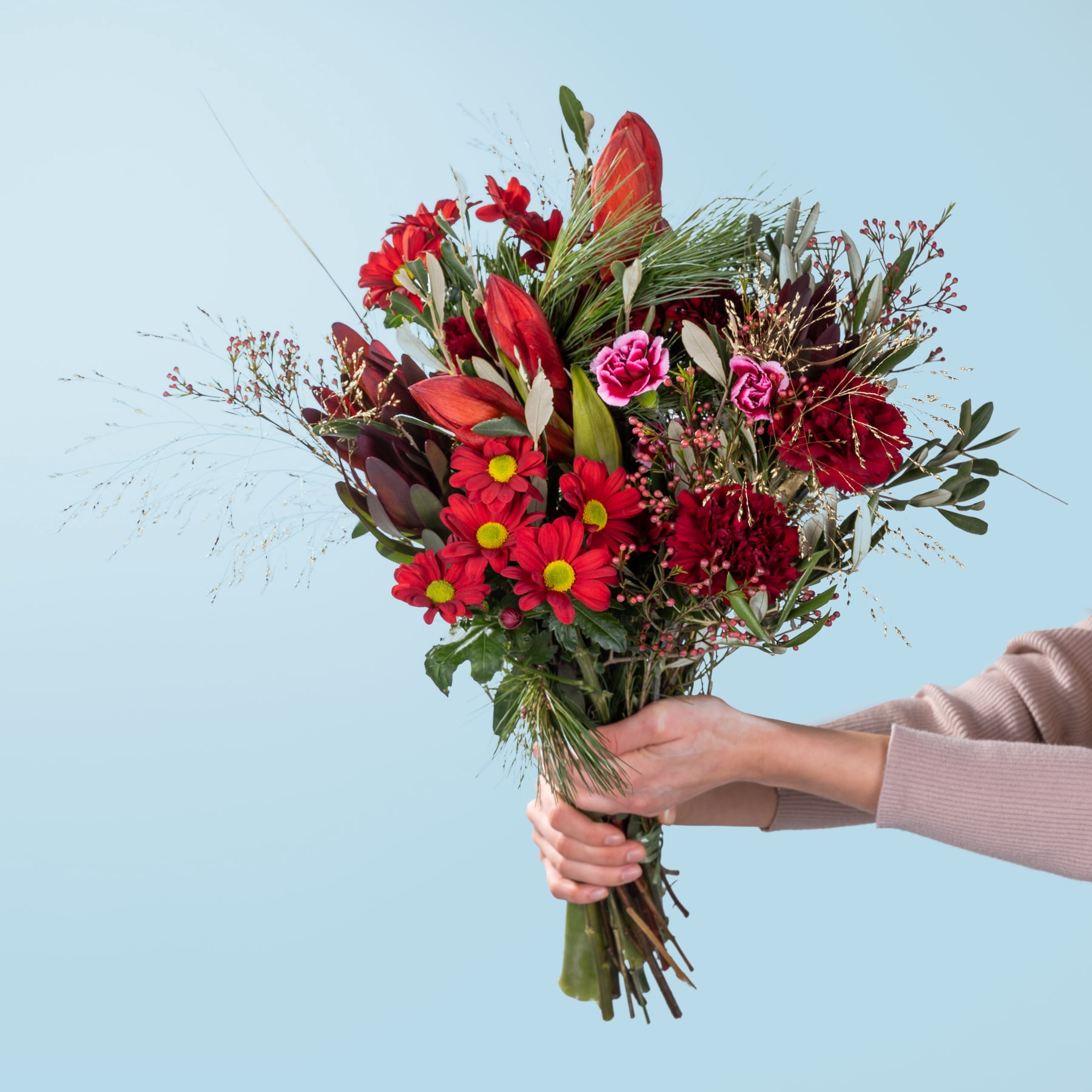 Ein leuchtender Strauß roter, rosa und gelber Blumen, den eine Person vor einem hellblauen Hintergrund in den Händen hält.