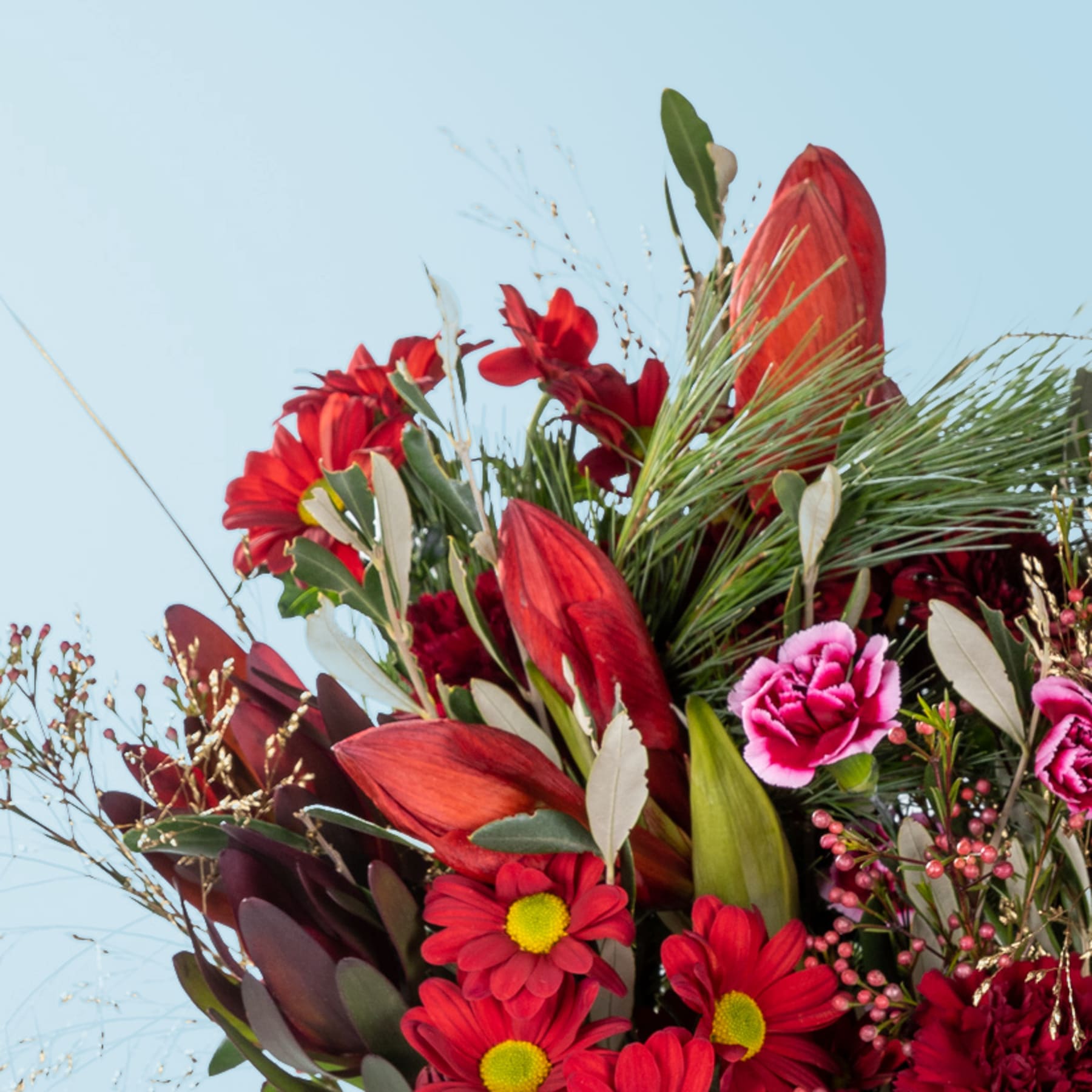 Ein leuchtender Strauß roter, rosa und gelber Blumen vor einem klaren blauen Himmel, der ein beeindruckendes und farbenfrohes Schauspiel ergibt.