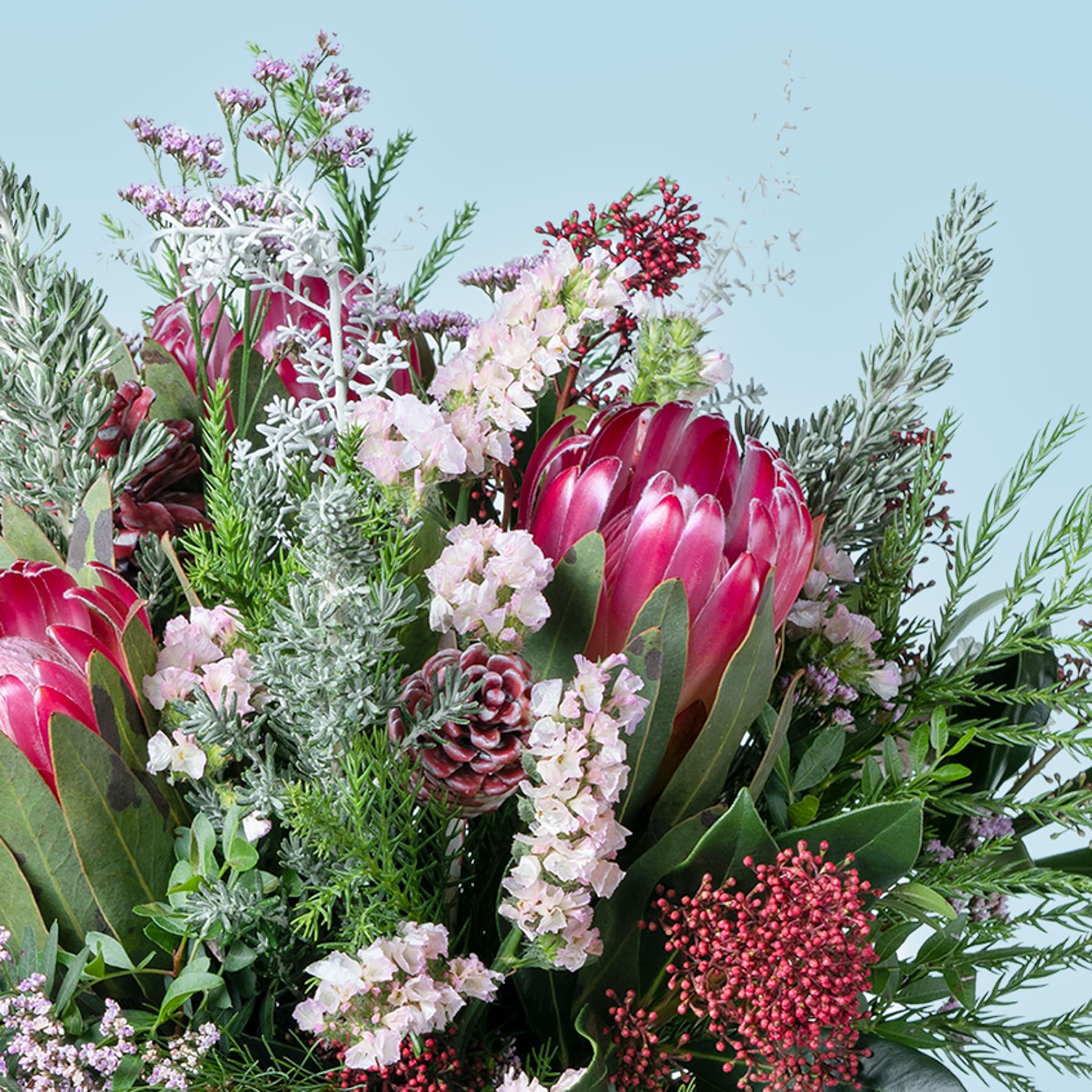 Ein lebendiger Strauß verschiedener Blumen, darunter große rosa Proteablüten, zarte weiße Blumen und üppiges Grün vor einem sanften blauen Hintergrund.