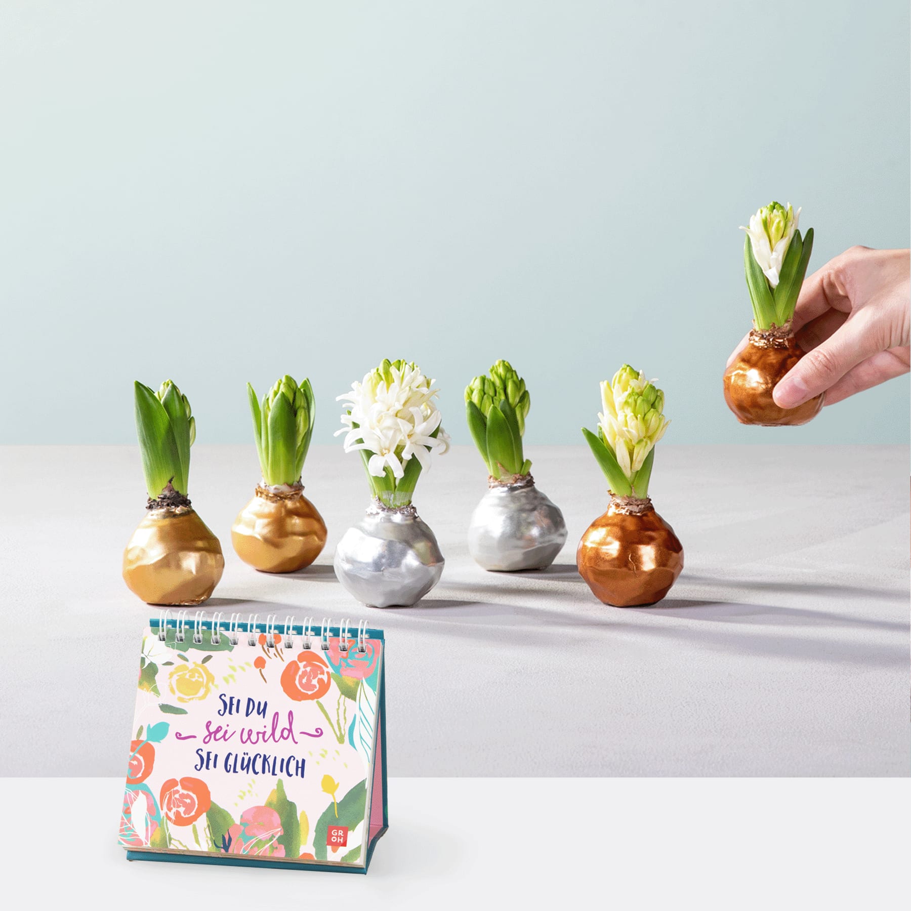 Das Bild zeigt eine Reihe kleiner Keramikvasen, jede mit einer blühenden Hyazinthe, vor einem schlichten Hintergrund. Zu sehen ist eine Hand, die eine der Vasen hält und die Blumen arrangiert.