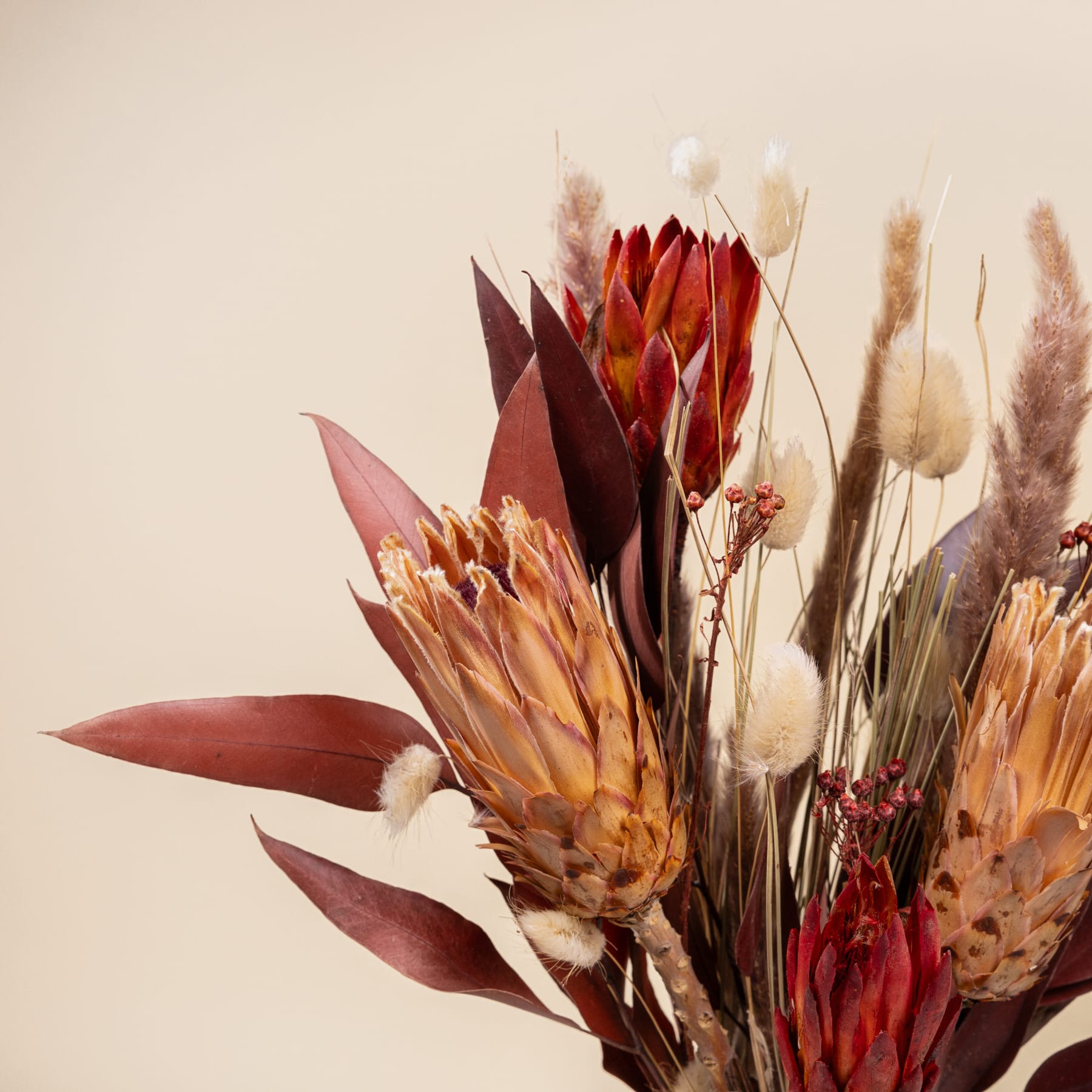 Ein lebendiger Strauß getrockneter Blumen in warmen, erdigen Tönen, darunter Protea, Pampasgras und andere natürliche Elemente, vor einem neutralen Hintergrund.