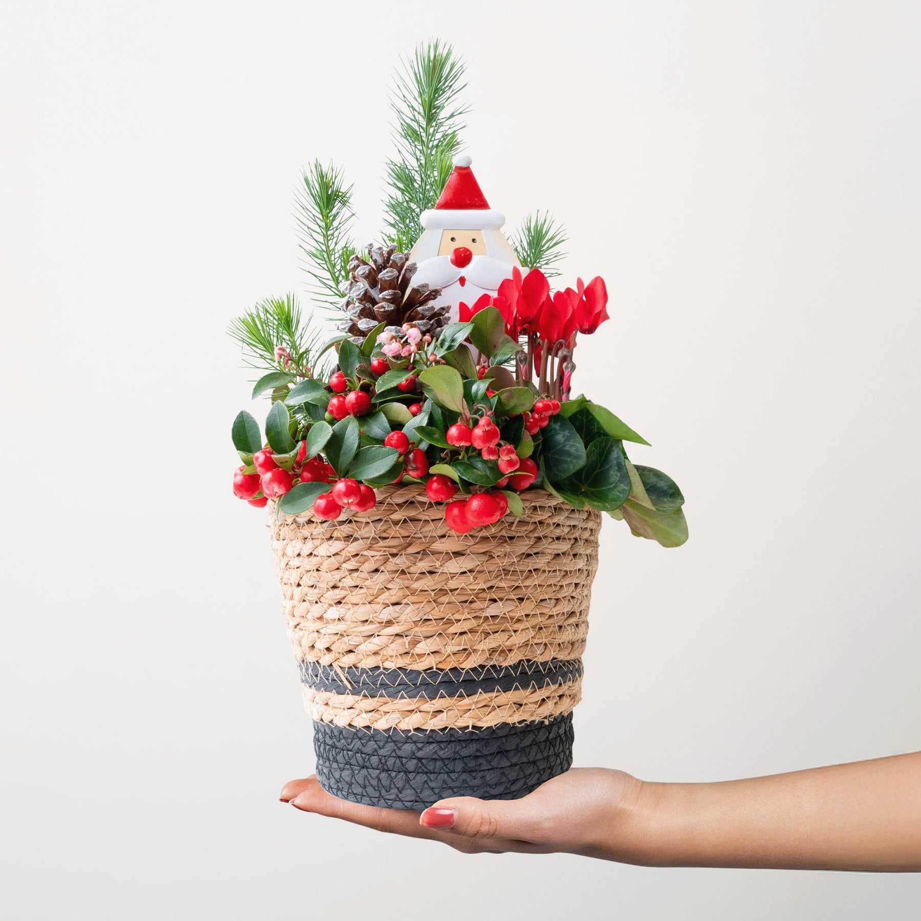 Ein geflochtener Korb gefüllt mit festlichem Grün, Tannenzapfen und einer kleinen Weihnachtsmannfigur, die eine Person vor einem schlichten Hintergrund in den Händen hält.