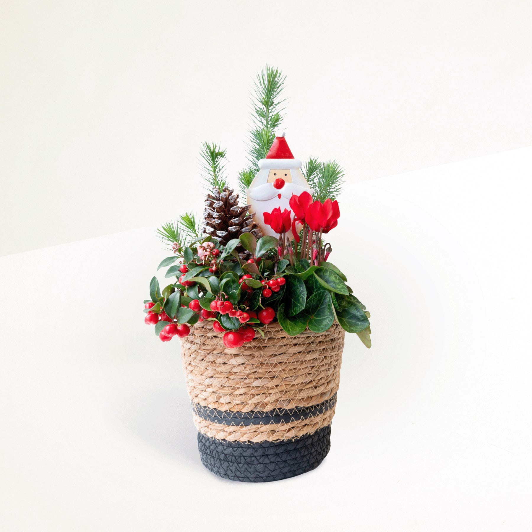 Ein festliches Arrangement in einem geflochtenen Korb mit einer Weihnachtsmannfigur, Tannenzweigen, roten Blumen und Tannenzapfen vor einem schlichten weißen Hintergrund.