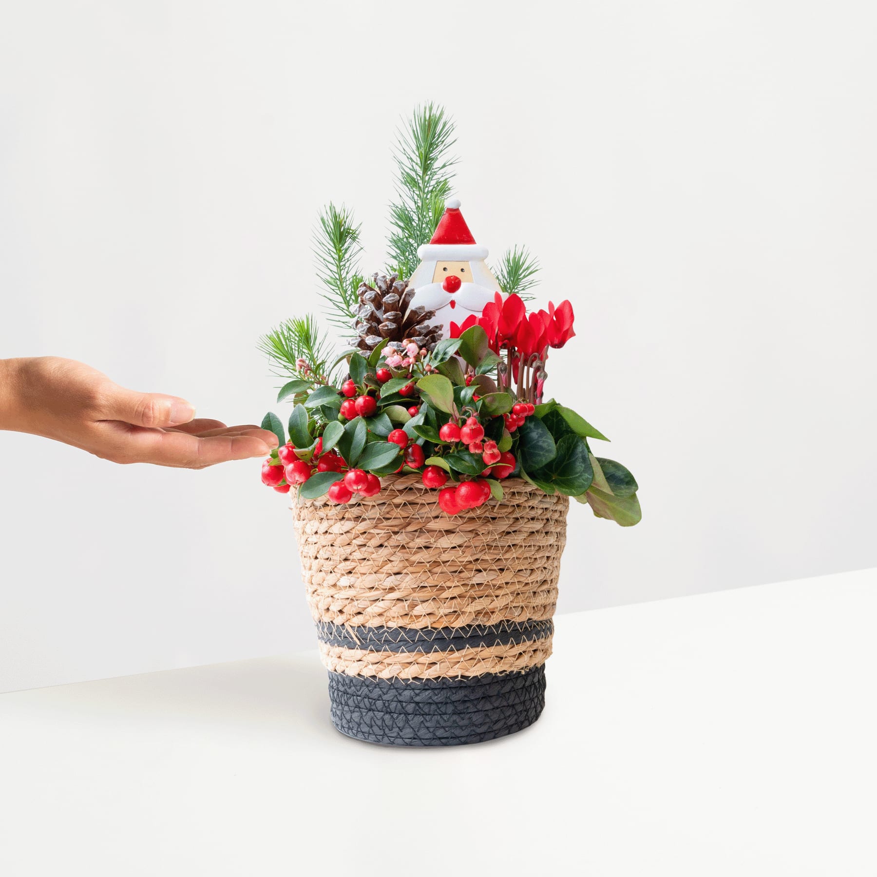 Ein festliches Weihnachtsarrangement in einem geflochtenen Korb mit einer kleinen Schneemannfigur, Tannenzweigen, roten Beeren und anderem saisonalen Laub vor einem schlichten weißen Hintergrund.