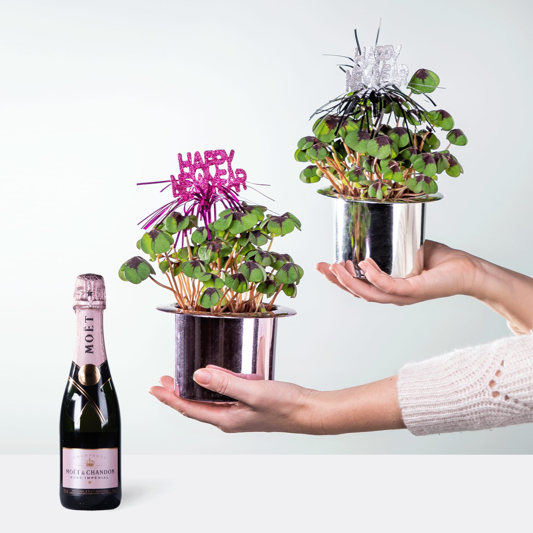 Das Bild zeigt ein Paar Hände, die zwei kleine Topfpflanzen mit leuchtend rosa Blüten halten, begleitet von einer Flasche Champagner, alles vor einem schlichten weißen Hintergrund.