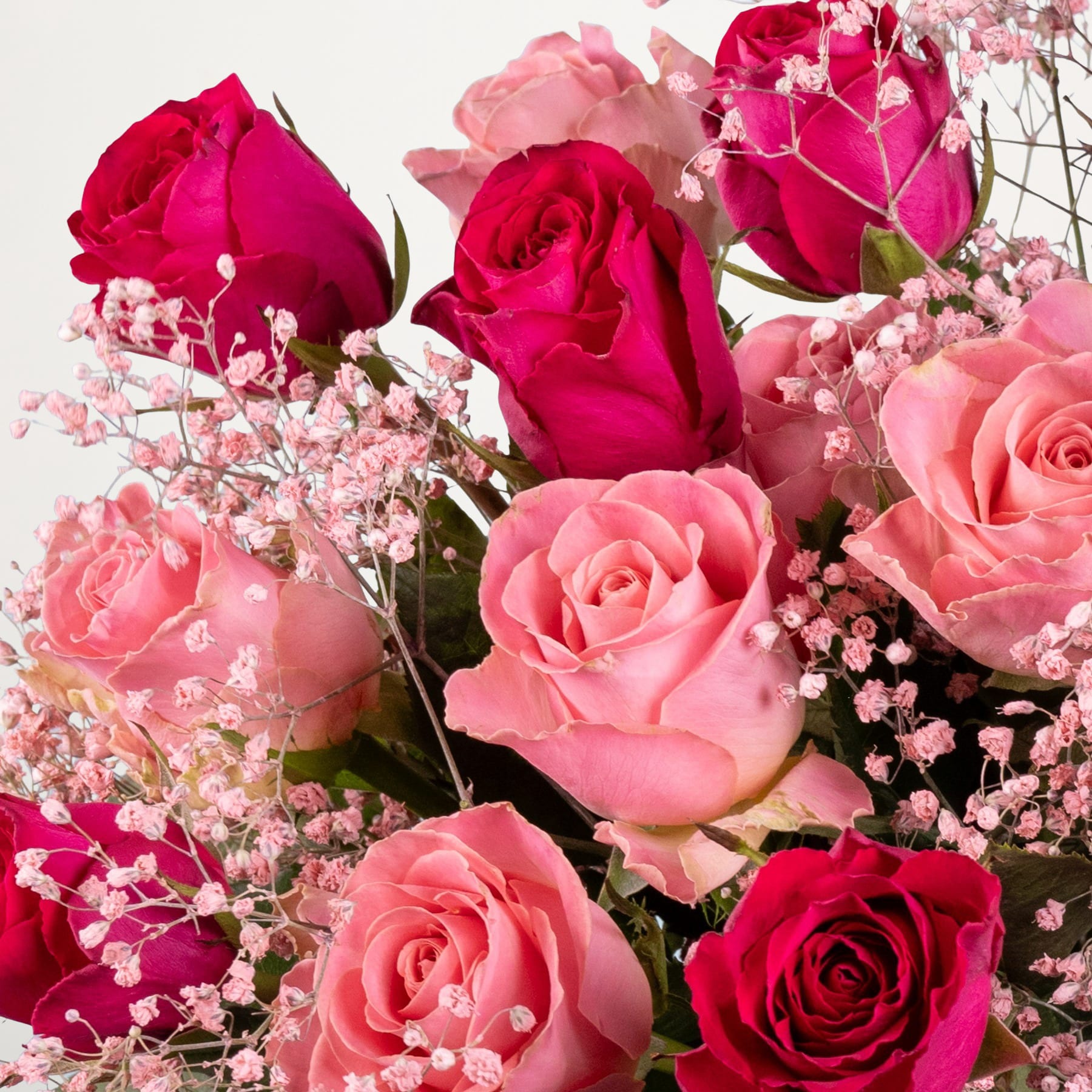 Ein lebendiger Strauß üppiger, samtiger roter und rosa Rosen, umgeben von zarten Schleierkrautblüten vor einem weichen, verschwommenen Hintergrund.