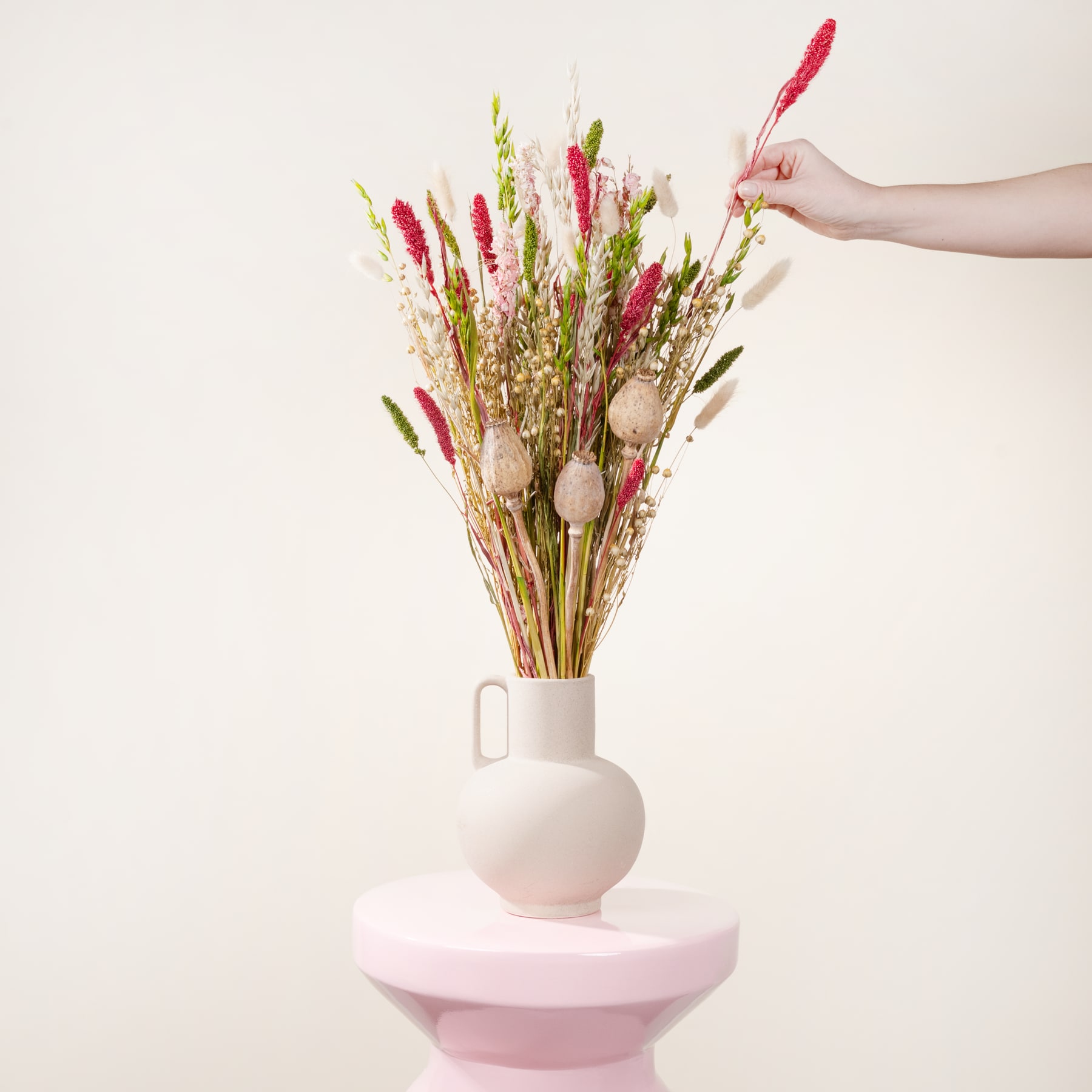 Eine Hand hält eine Vase mit einem farbenfrohen Strauß roter und grüner Trockenblumen vor einem schlichten weißen Hintergrund.