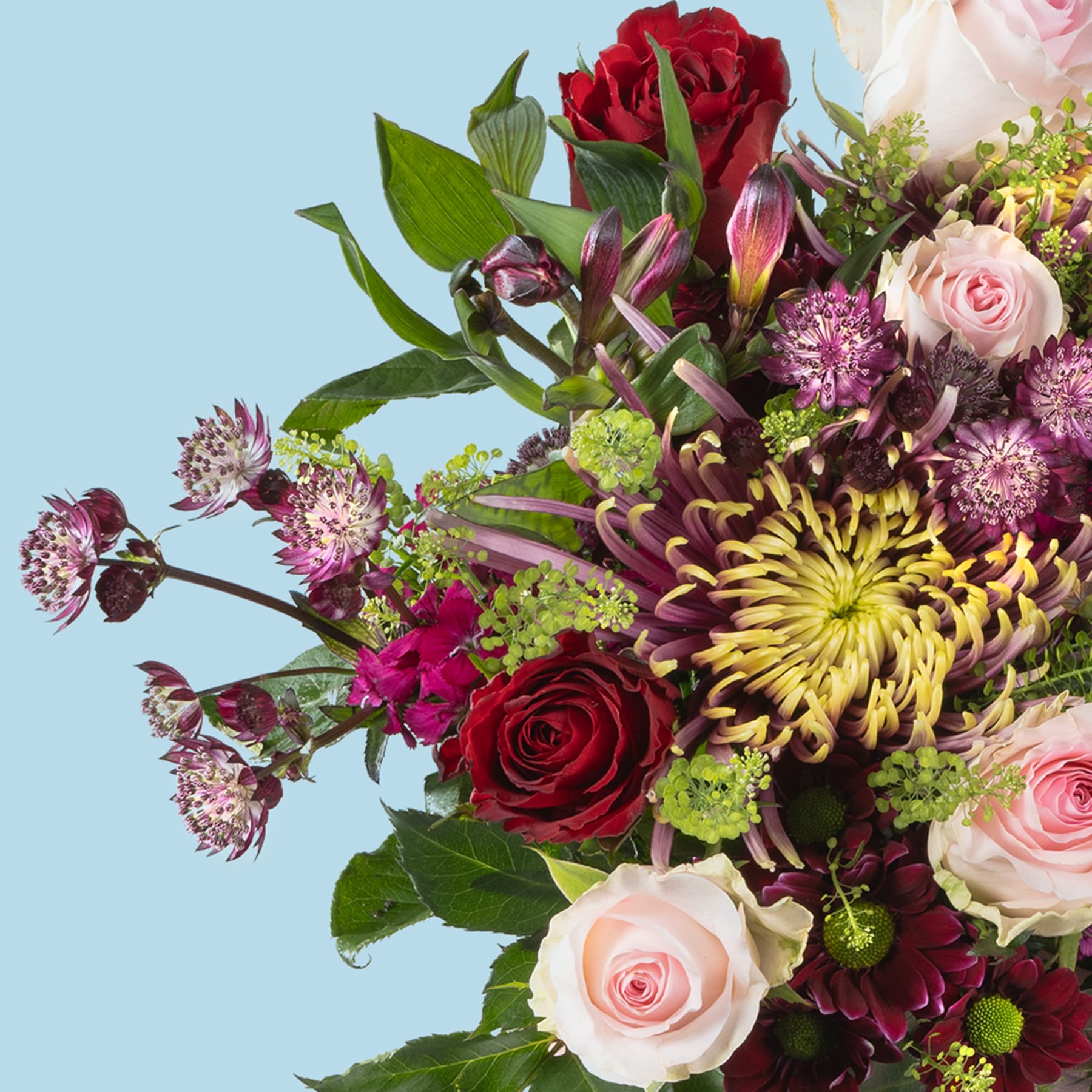 Ein lebendiger Strauß verschiedener Blumen, darunter rote Rosen, rosa Rosen, gelbe Chrysanthemen sowie violettes und grünes Laub vor einem sanften blauen Hintergrund.