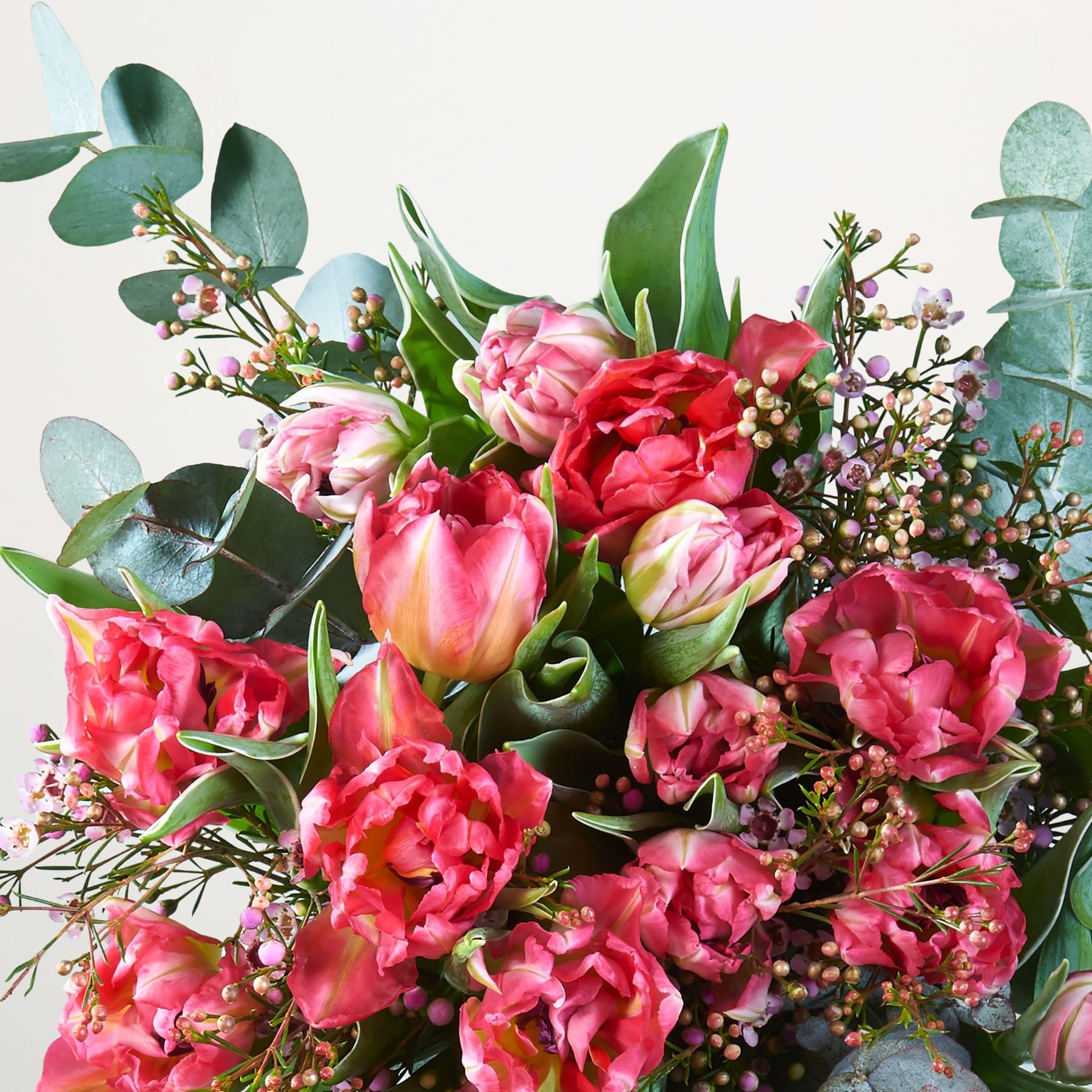 Alle Blumen Produkte BLUME2000 BLUME2000
