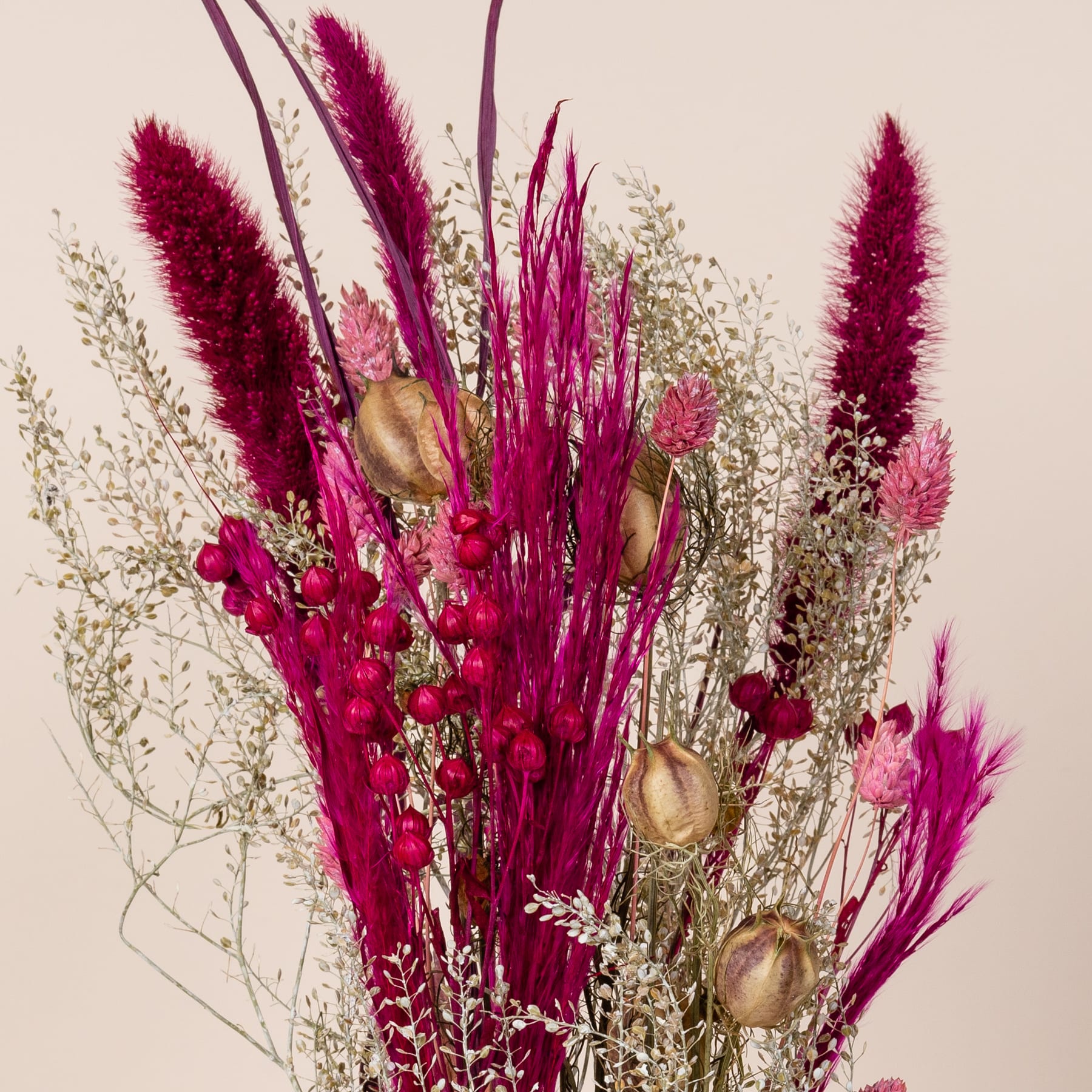 Ein lebendiger Strauß roter und rosafarbener Trockenblumen, darunter federartige Federbüschel und runde Samenkapseln, arrangiert vor einem neutralen Hintergrund.