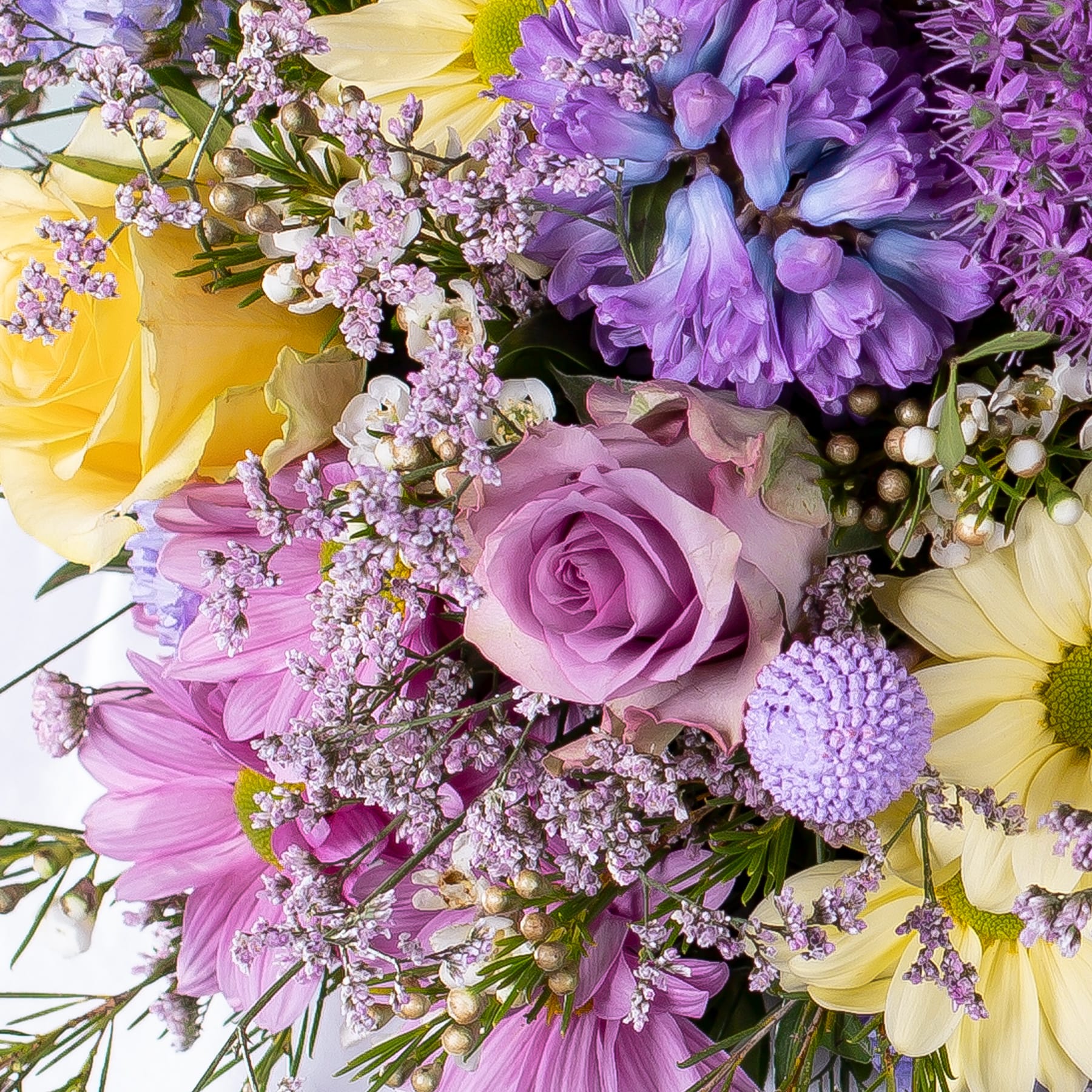 Ein leuchtender Strauß verschiedener violetter, gelber und rosa Blumen, darunter Rosen, Gänseblümchen und andere zarte Blüten, füllt den Rahmen mit einer üppigen und farbenfrohen Pracht.