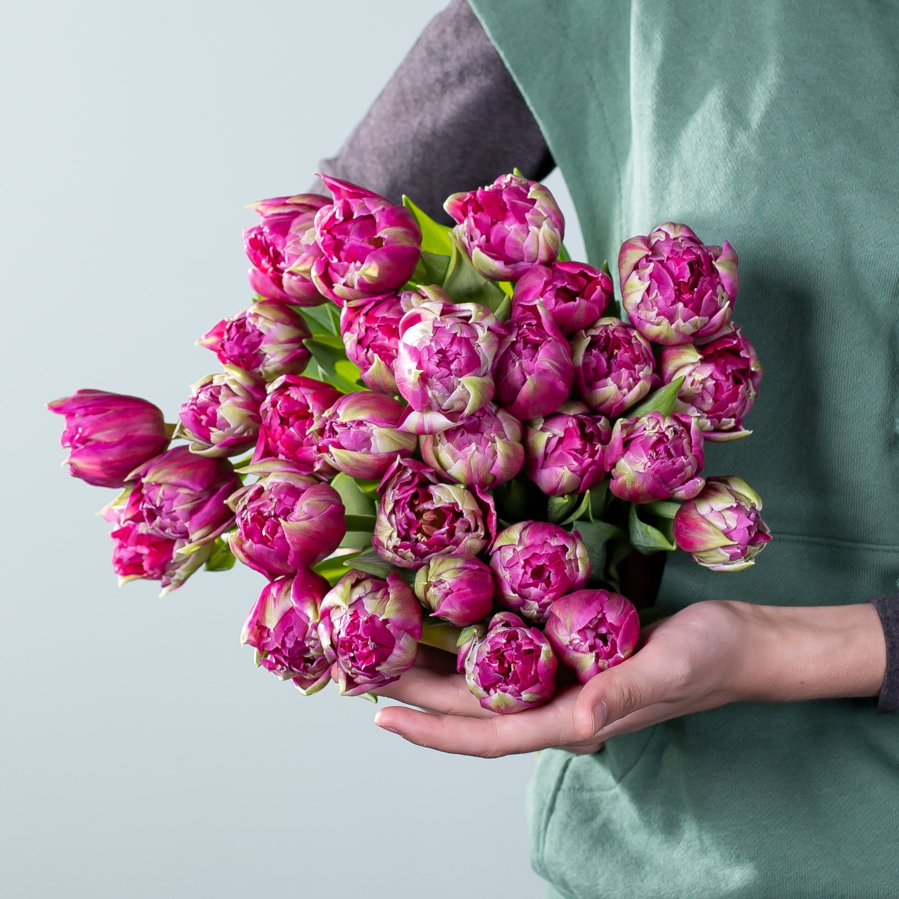 Ein leuchtender Strauß üppiger rosa Pfingstrosenblüten, den eine Person vor einem weichen grünen Stoffhintergrund in den Händen hält.