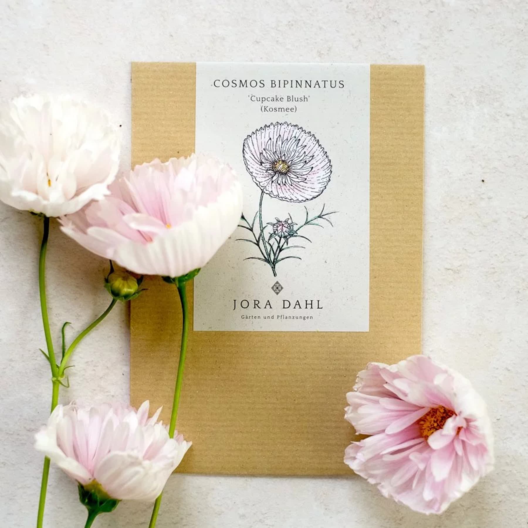 Das Bild zeigt mehrere zartrosa Pfingstrosen oder ähnliche Blumen, die um ein Buch herum angeordnet sind. Auf dem Einband ist eine Kosmeenillustration abgebildet, alles vor einem schlichten Hintergrund.