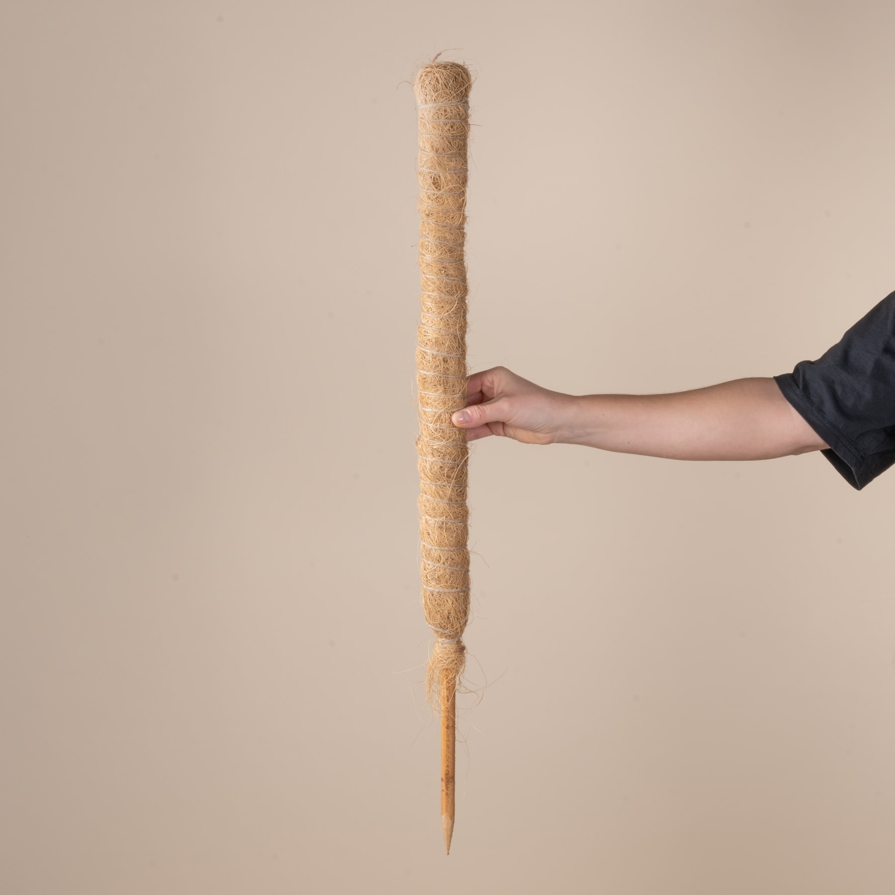 Eine Hand hält vor einem schlichten, beigen Hintergrund ein langes, zylindrisches Objekt, das einem riesigen Bleistift oder Buntstift ähnelt.
